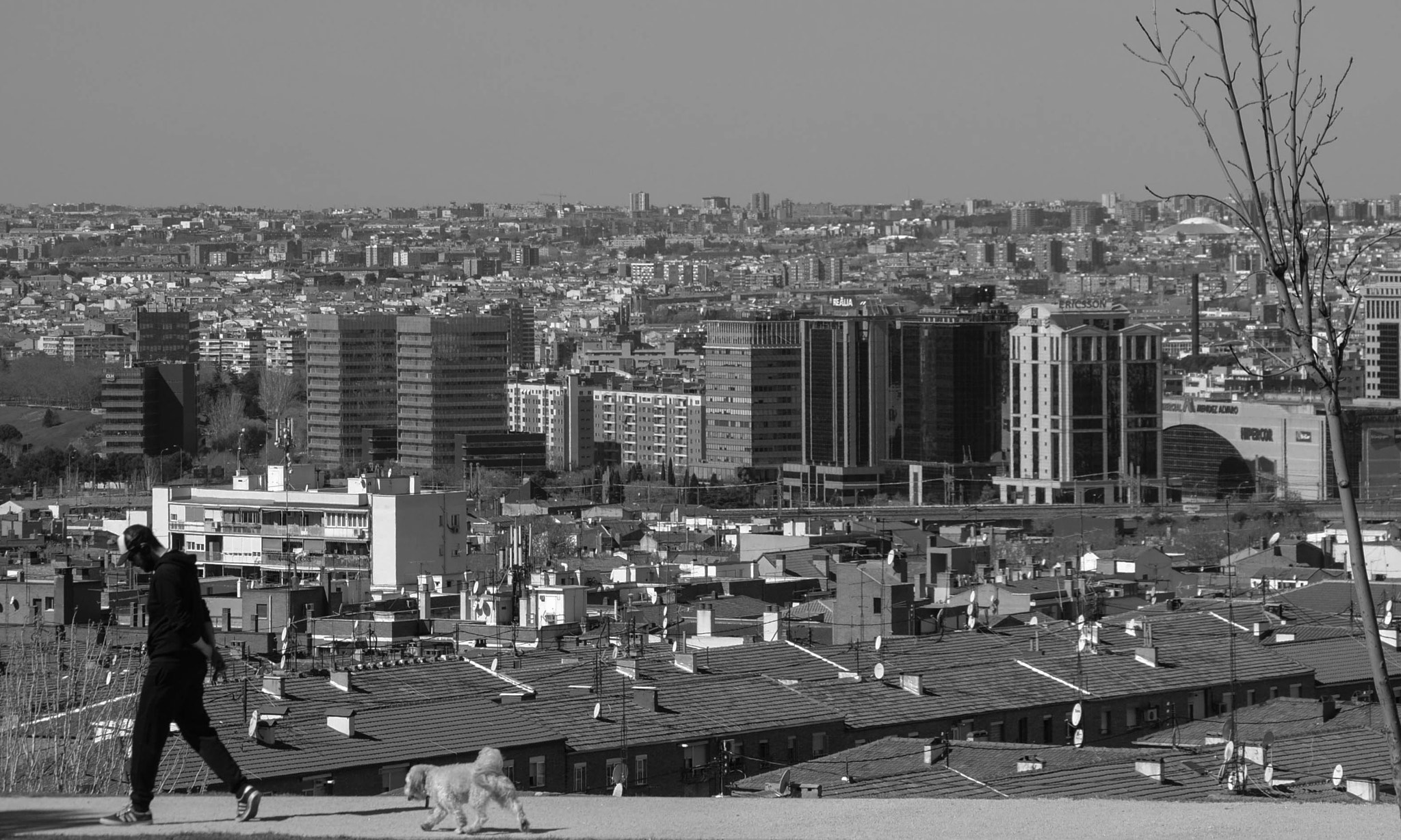 Nikon D3000 sample photo. Volviendo a casa photography