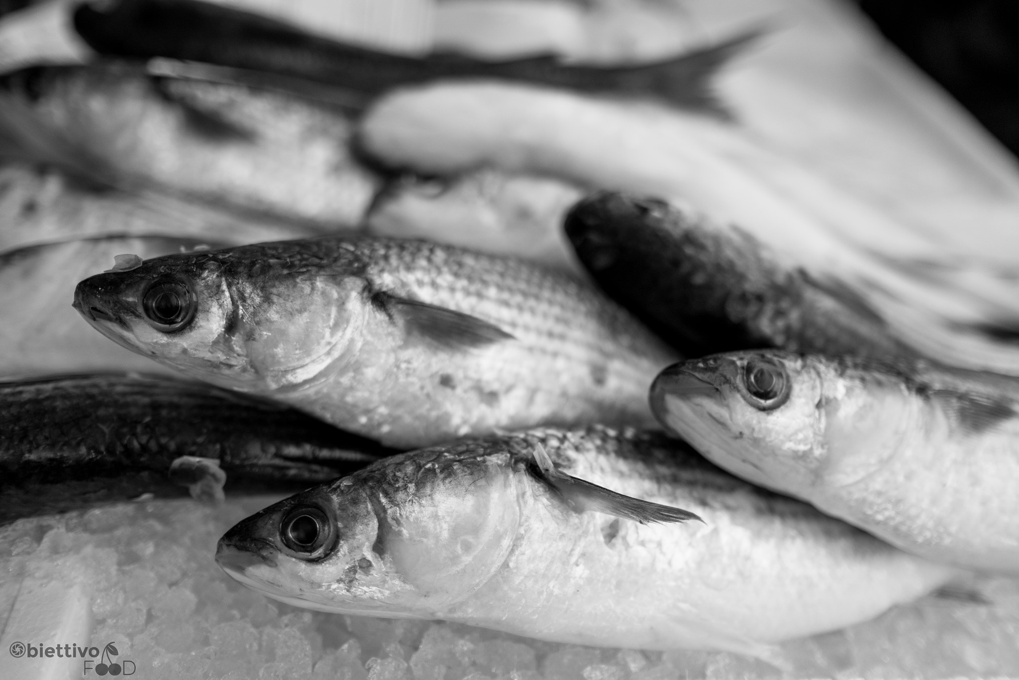 Fujifilm XF 23mm F1.4 R sample photo. Fish on ice photography