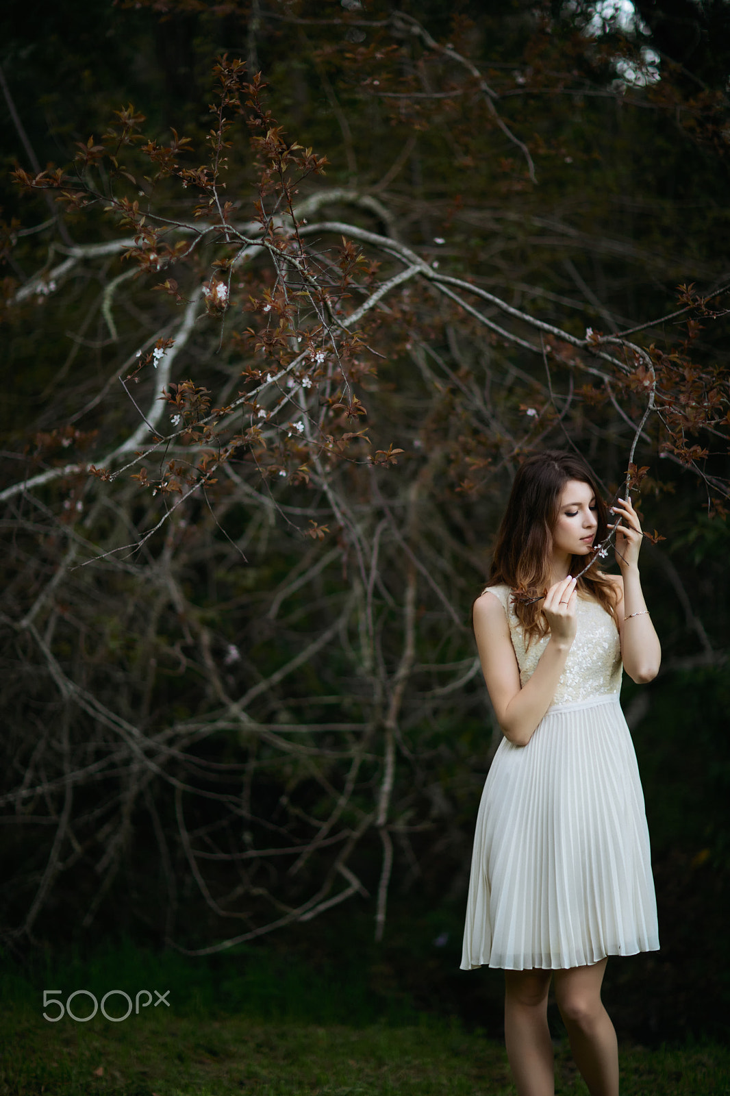 Canon EF 85mm F1.2L II USM sample photo