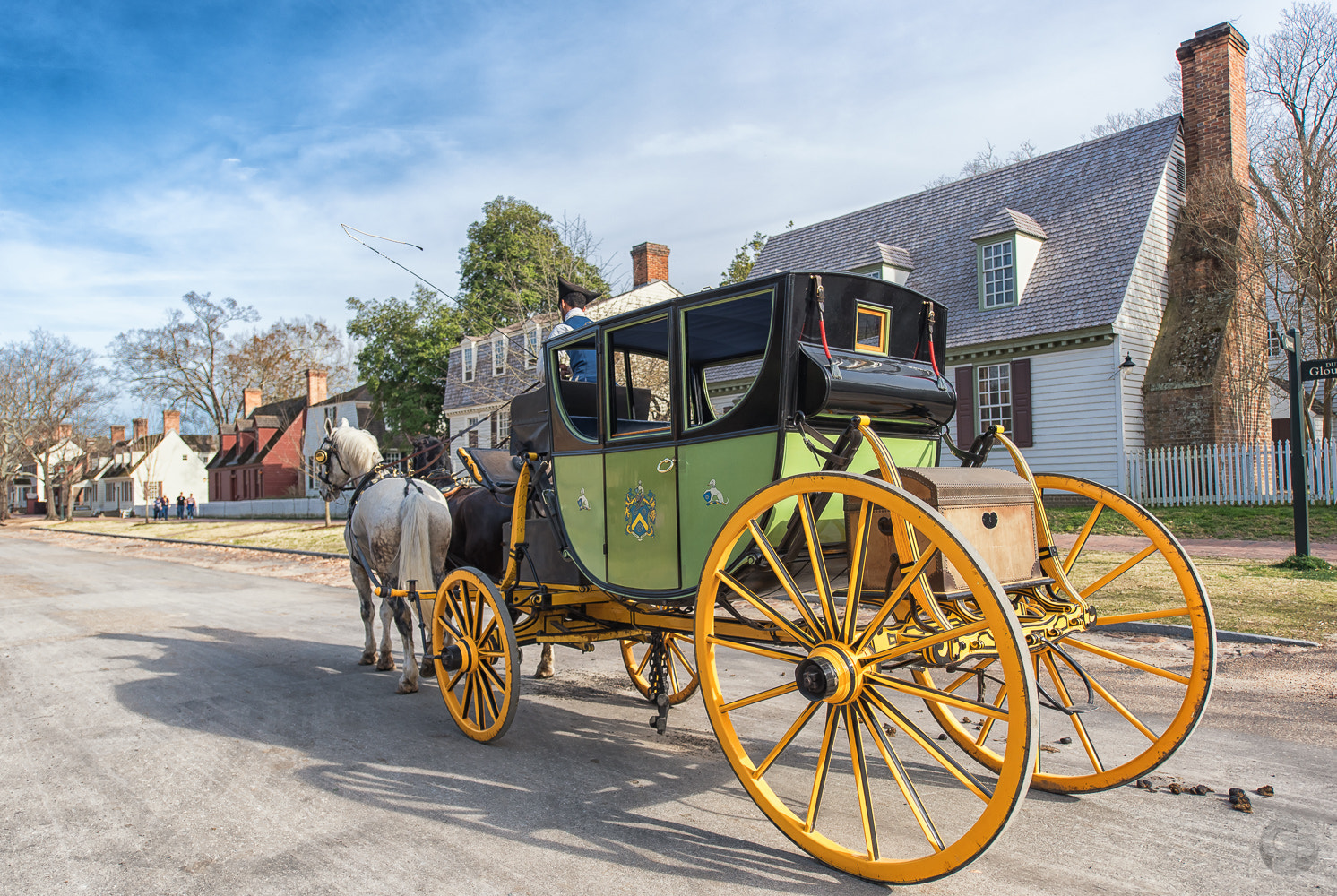 Nikon D750 + Nikon AF-S Nikkor 14-24mm F2.8G ED sample photo. Colonial williamsburg carriage photography