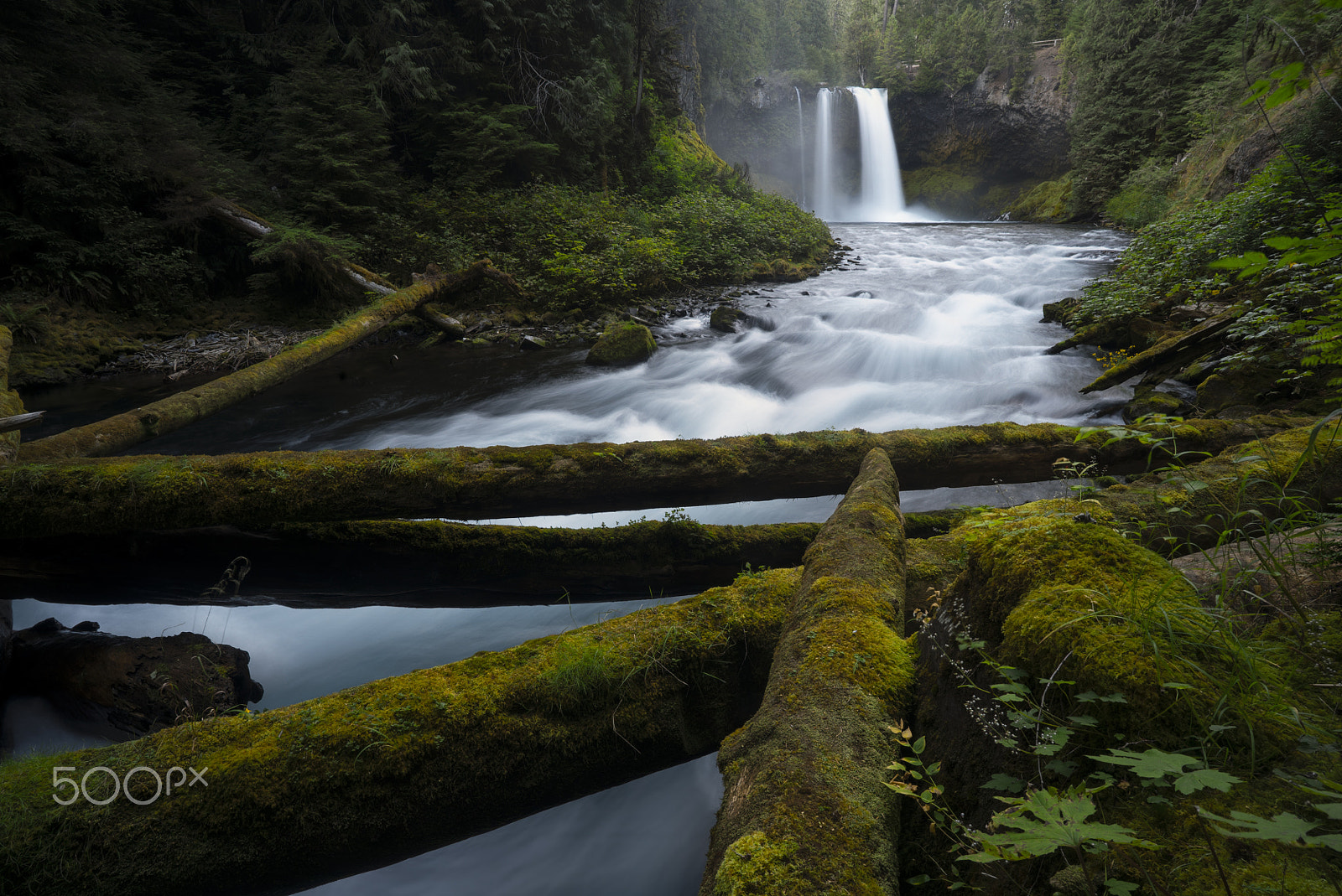 Sony a7S II sample photo. Koosah falls waterfall - willamette national forest - oregon photography