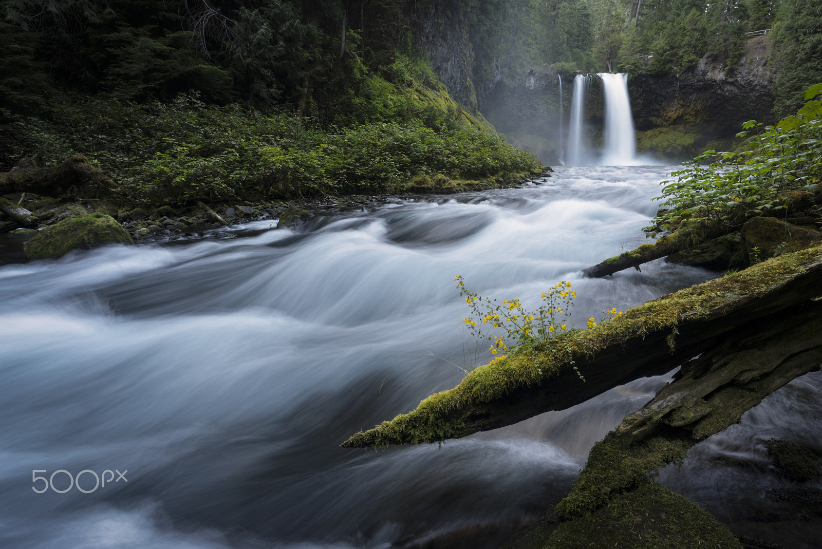 Sony a7S II sample photo. Koosah falls waterfall - willamette national forest - oregon photography