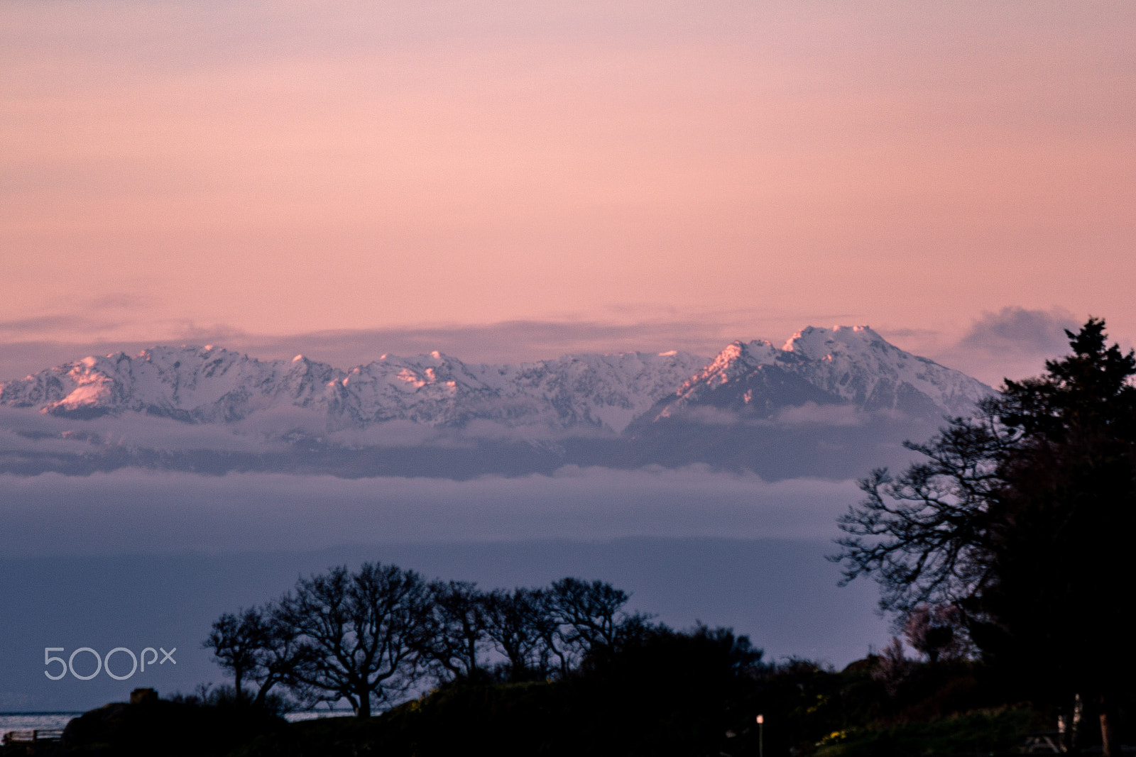 Canon EOS 60D + Canon EF 70-200mm F2.8L IS USM sample photo. Pink high  light photography