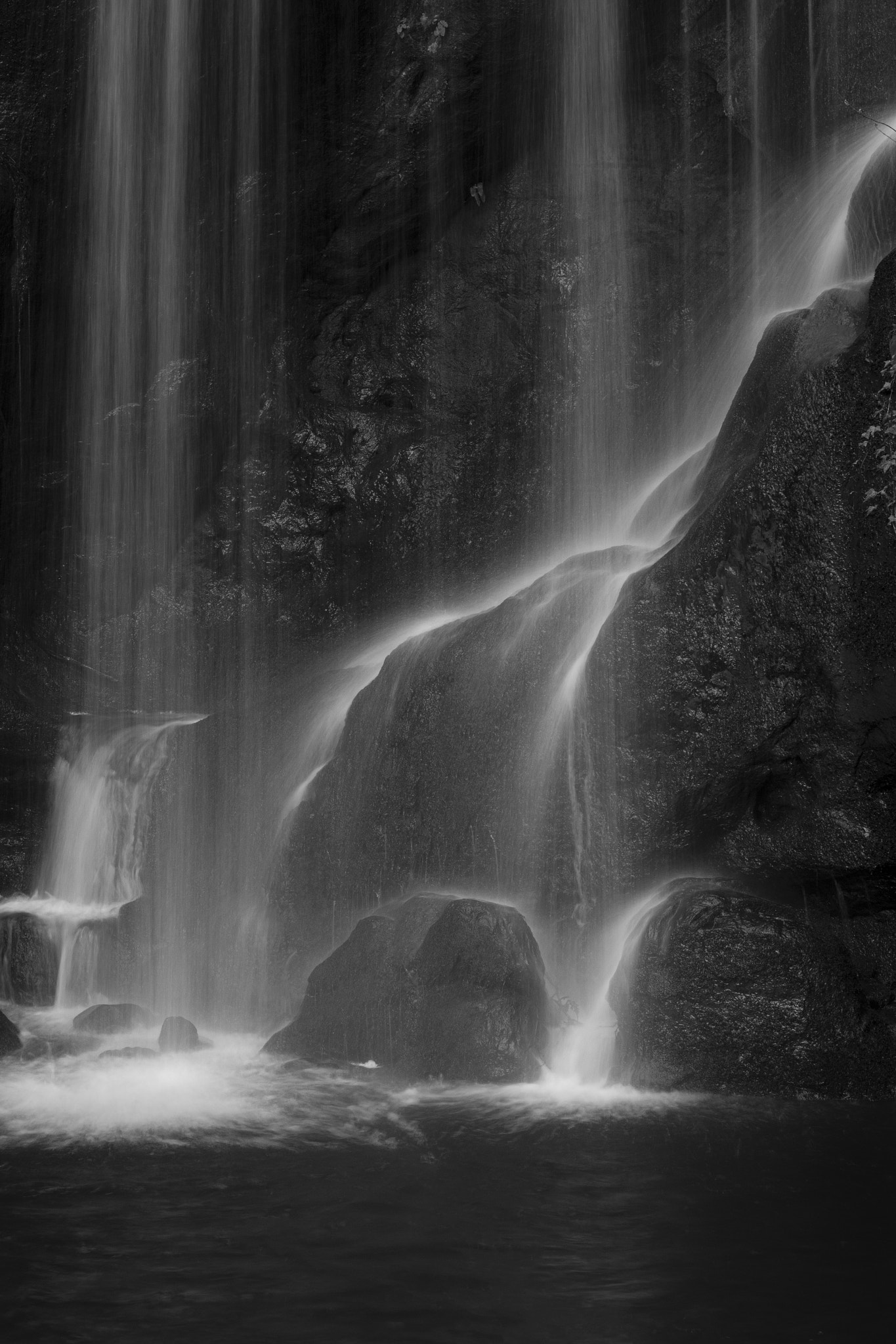 Canon EOS 70D + Canon EF 24-70mm F2.8L USM sample photo. Roughton linn photography