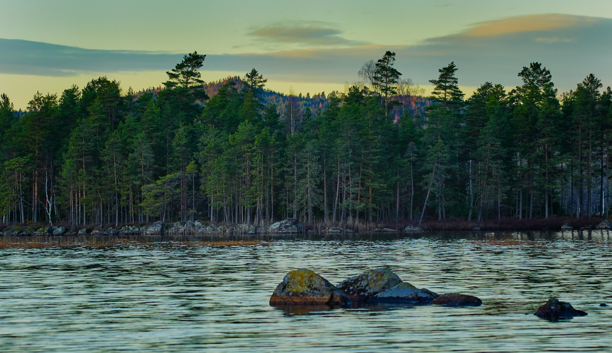 Nikon D700 sample photo. Lake bredreven värmland sweden photography