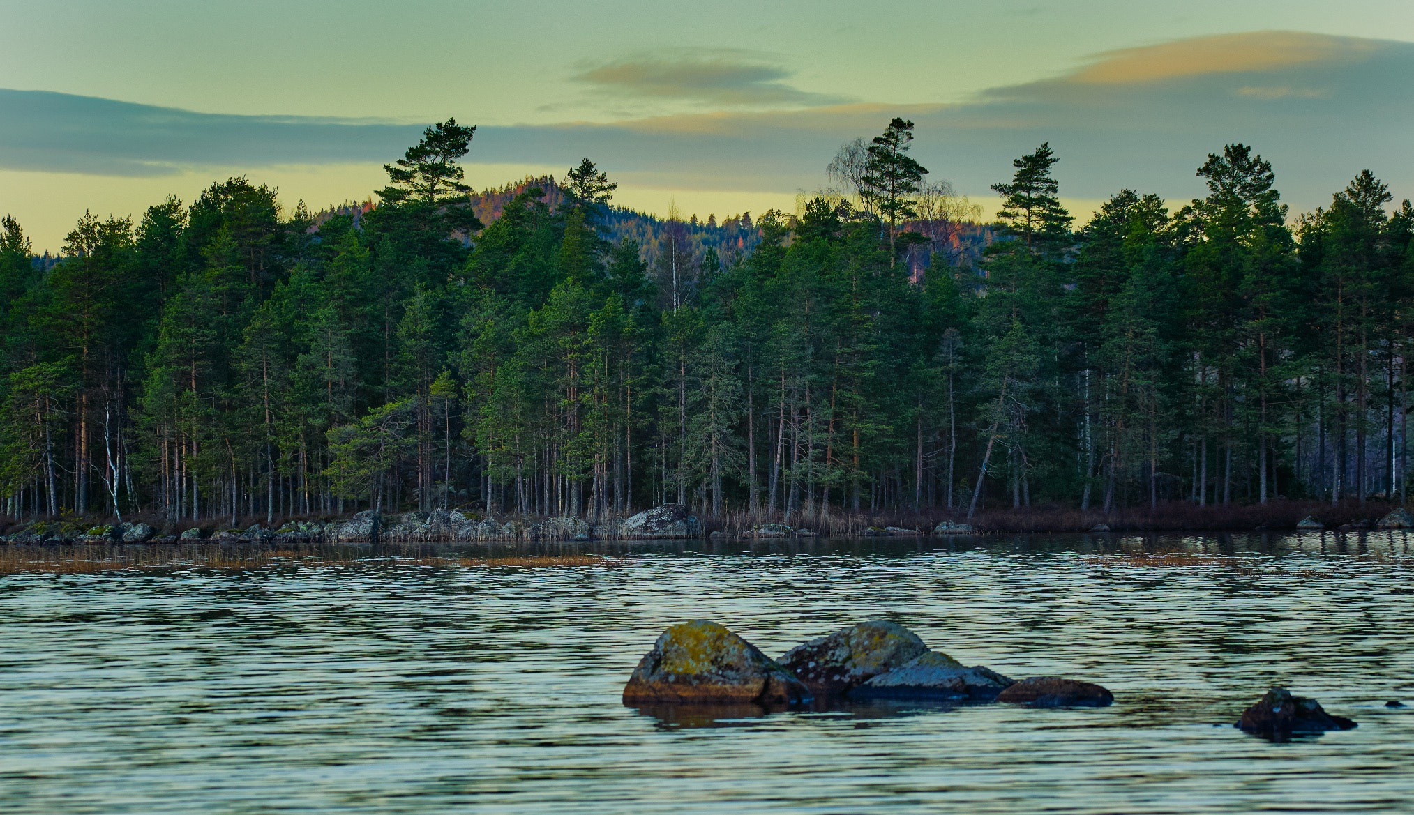 Nikon AF-S Nikkor 200-500mm F5.6E ED VR sample photo. Lake bredreven värmland sweden photography