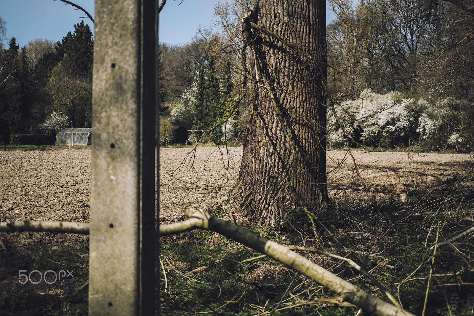 Fujifilm X-Pro2 + Fujifilm XF 35mm F2 R WR sample photo. Vliegenheuvel photography