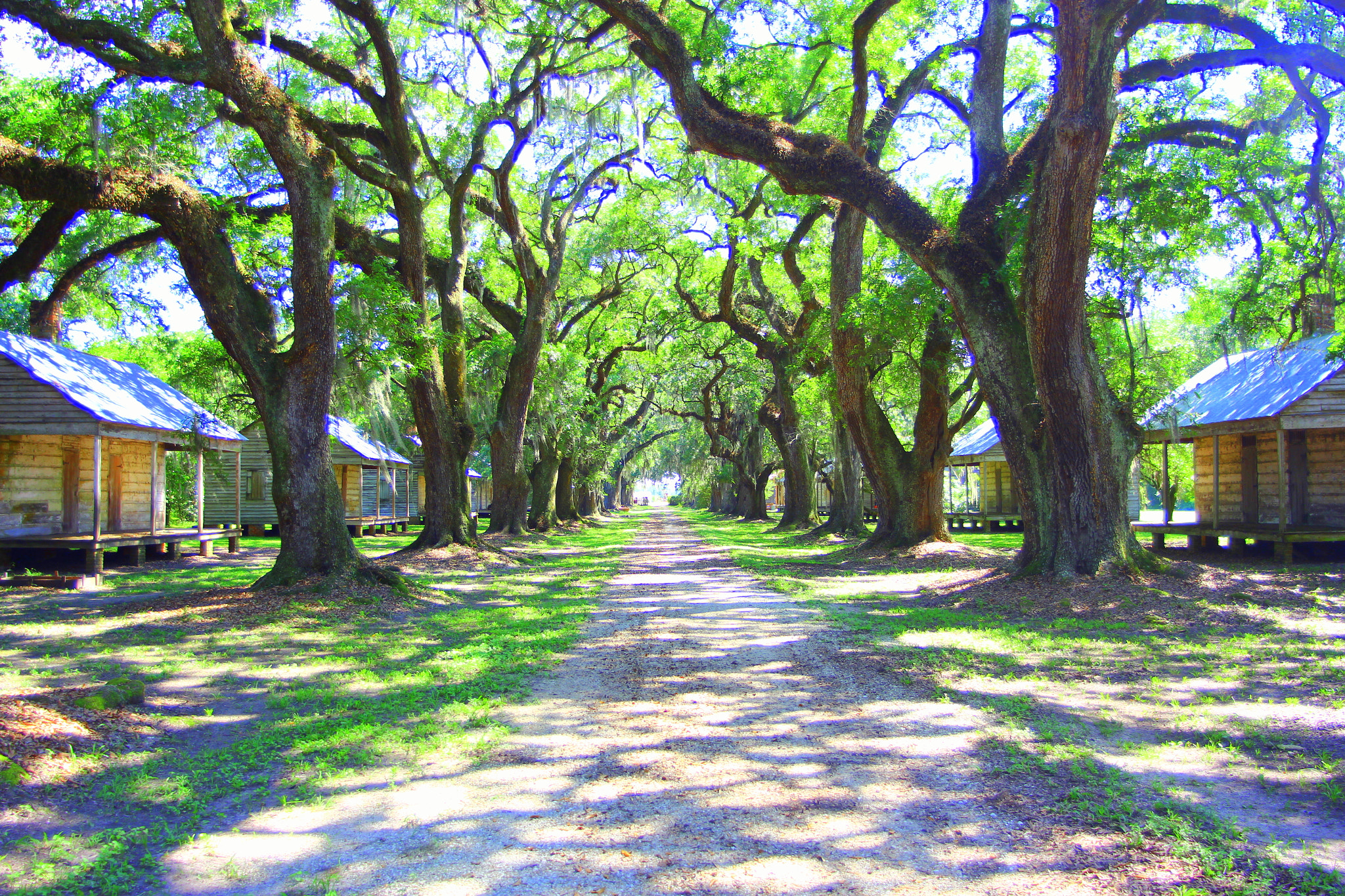 Tamron AF 19-35mm f/3.5-4.5 sample photo. The road past the slave cabins photography