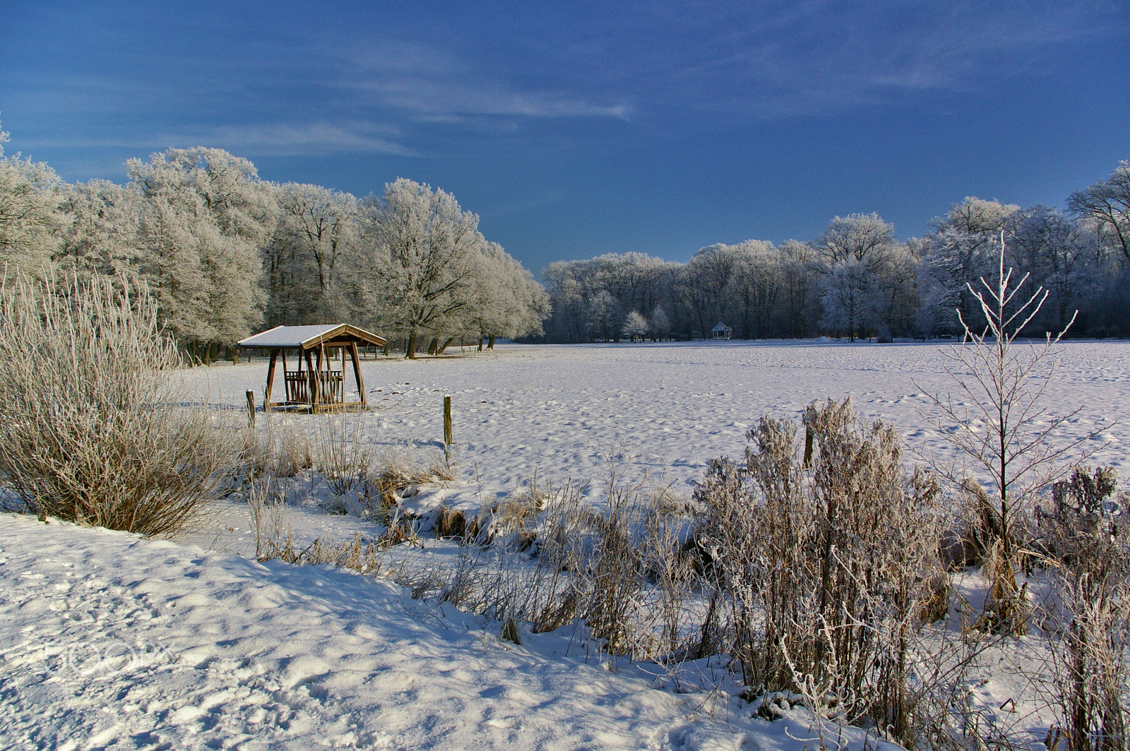 Pentax K100D sample photo. Snow-covered field with forest and fodder rack photography