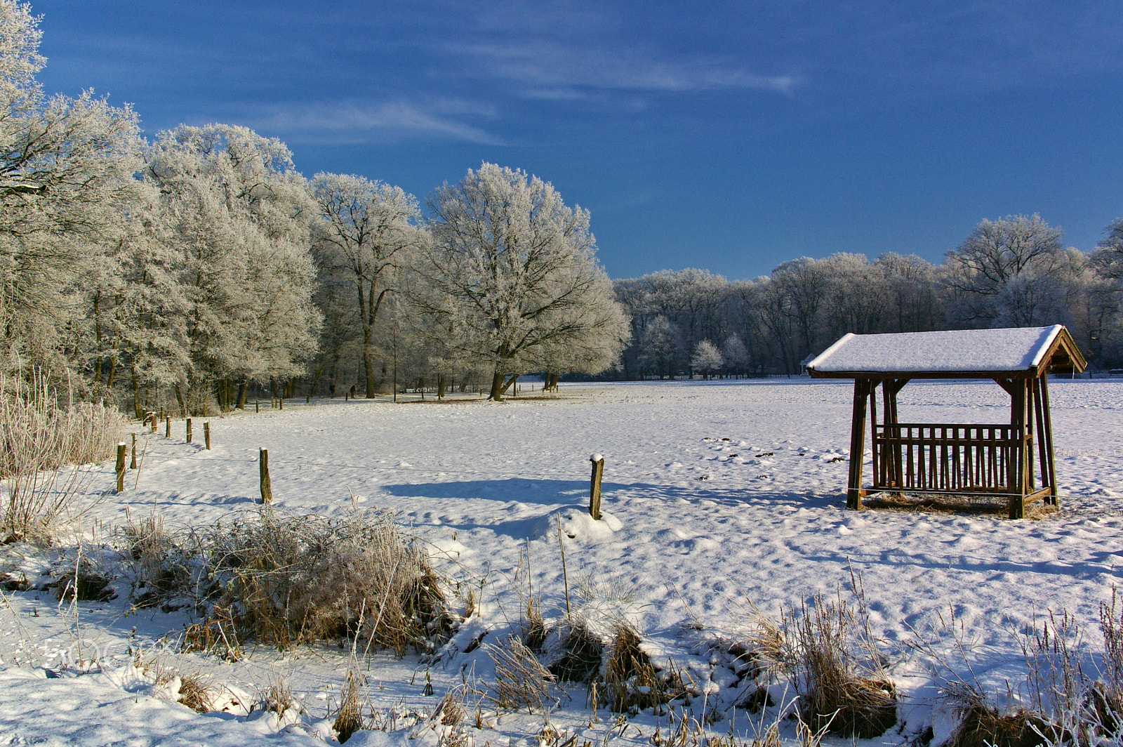Pentax K100D sample photo. Snow-covered field with forest and fodder rack photography
