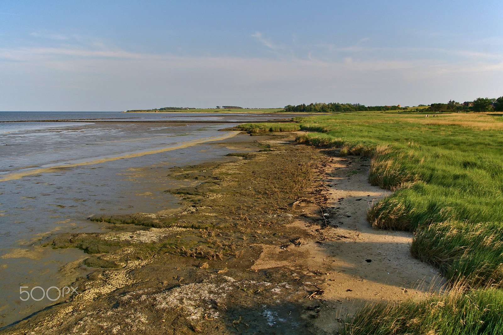 Pentax K100D + Pentax smc DA 18-55mm F3.5-5.6 AL sample photo. Seashore with tidal mudflats and salt marsh photography