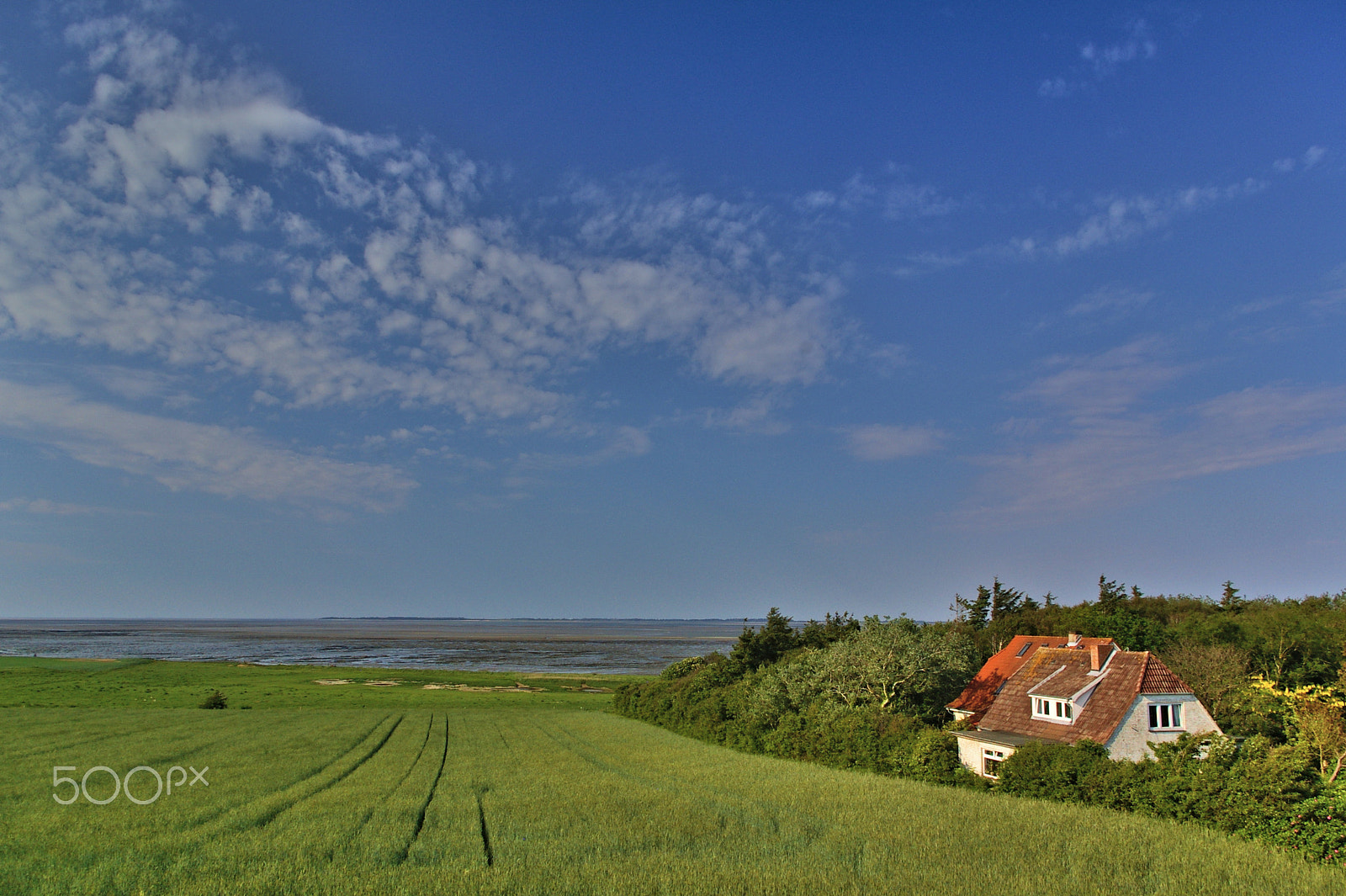 Pentax K100D sample photo. House at the seashore with field and tidal mudflats photography