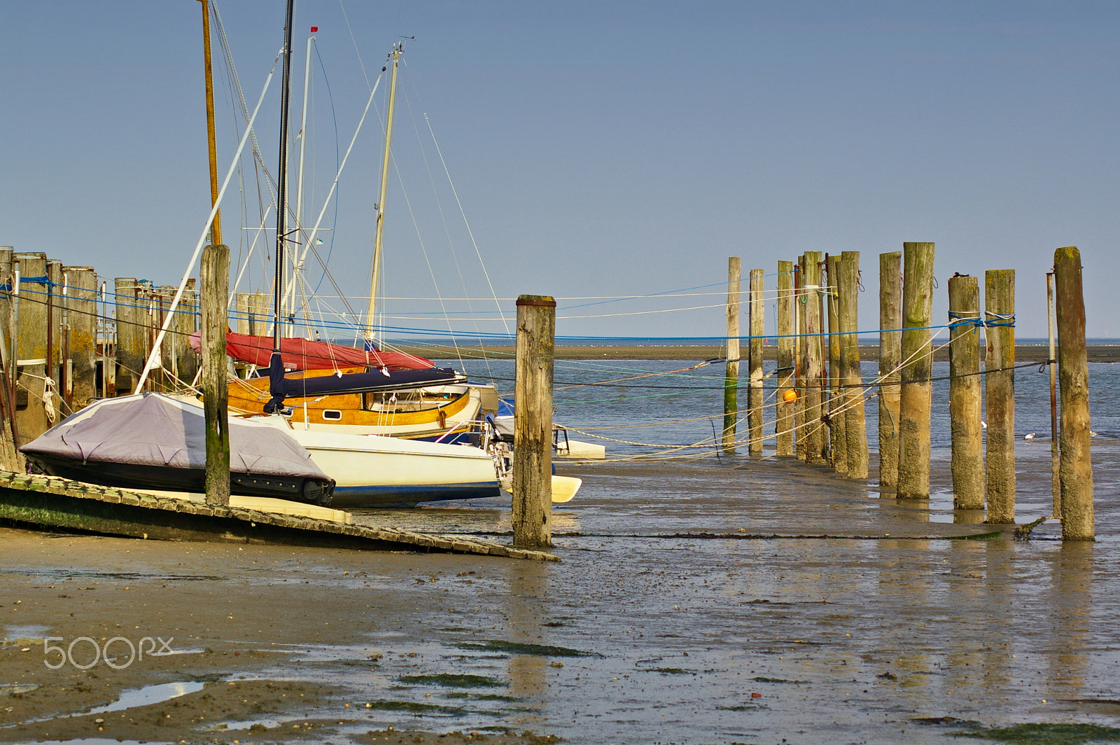 Pentax K100D sample photo. Tidal harbour with sailboats and mooring posts at low tide photography
