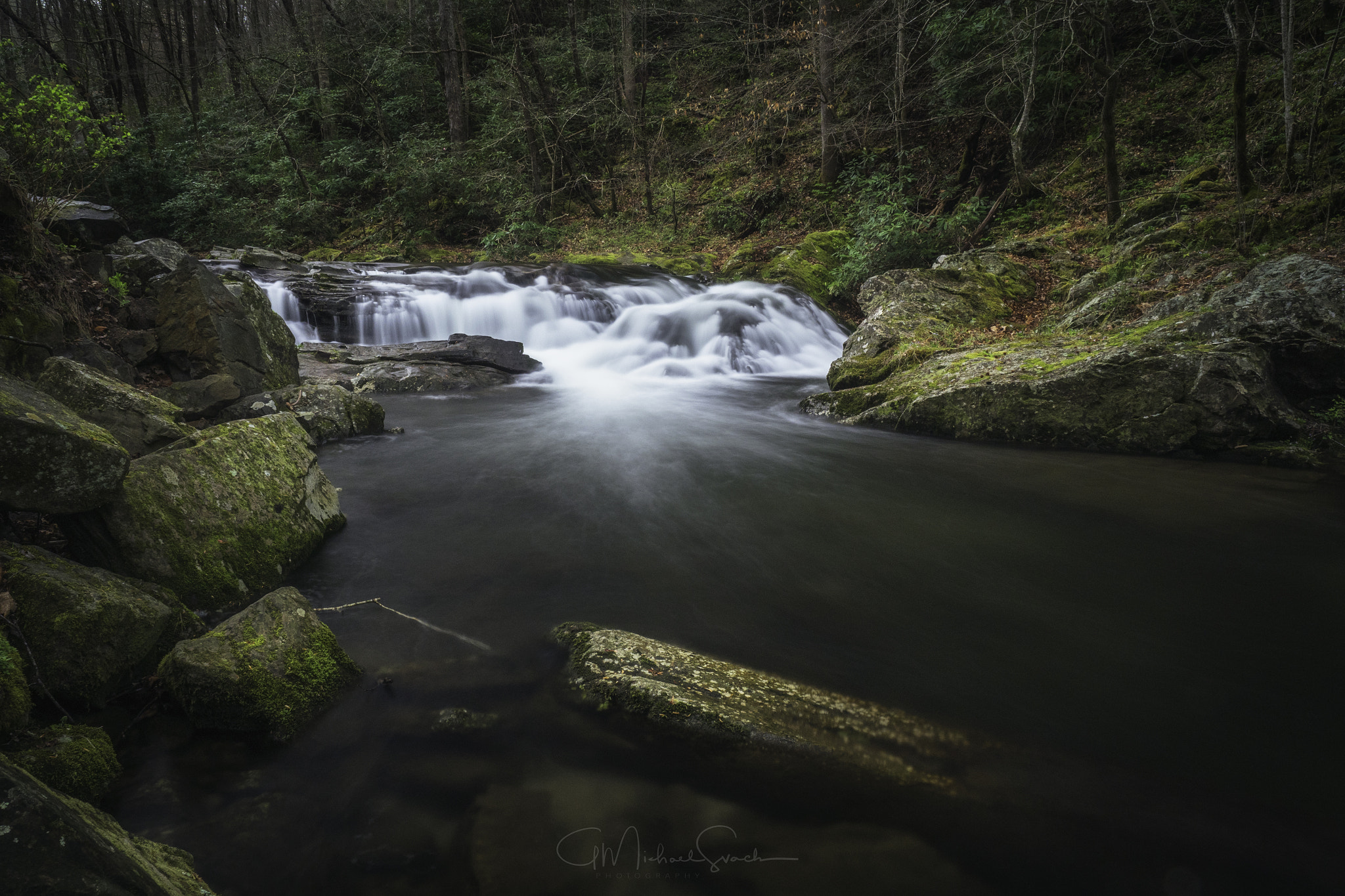 Olympus OM-D E-M1 Mark II sample photo. Townsend, tn photography