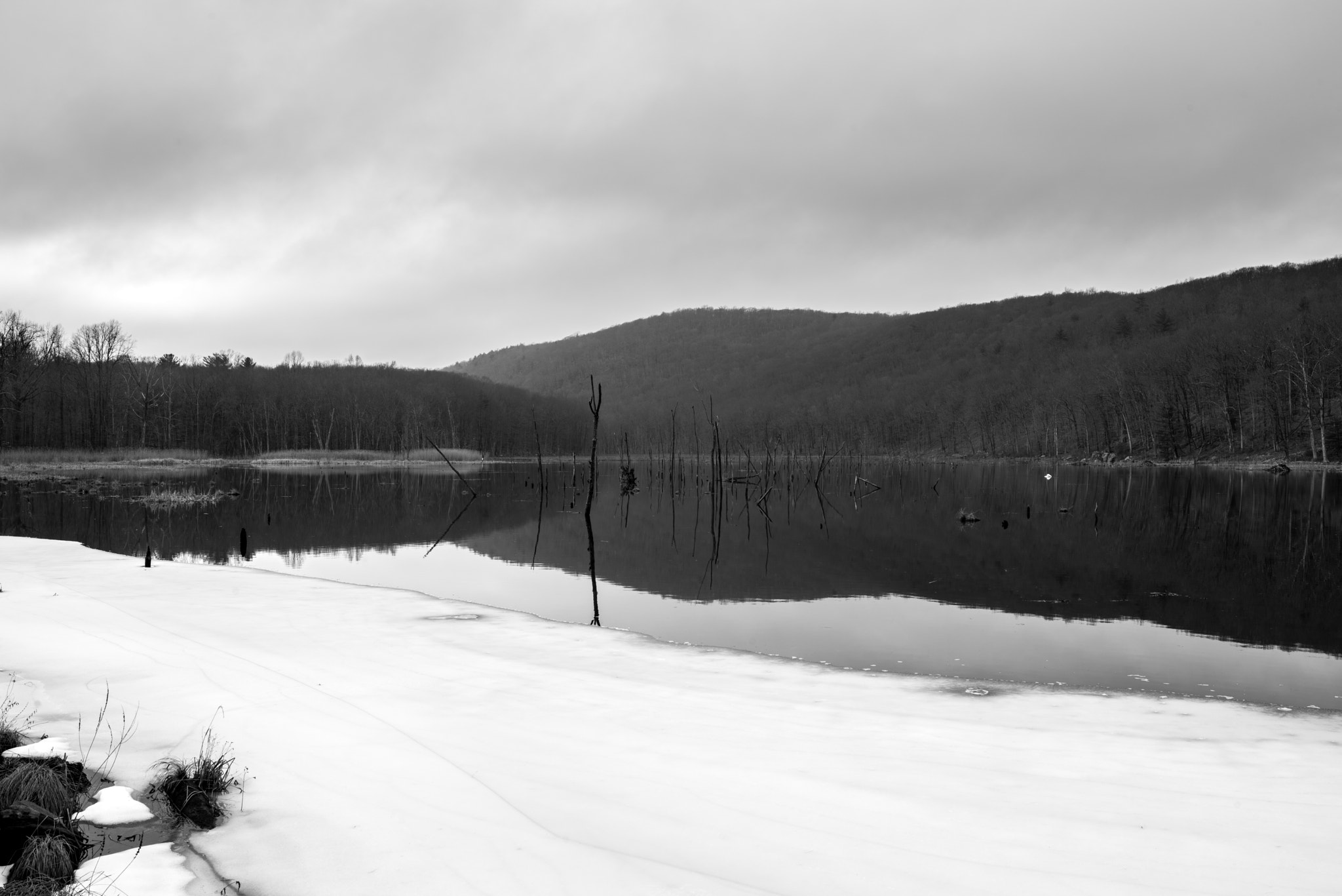 Pentax K-1 sample photo. Last of winter, bennett's pond photography