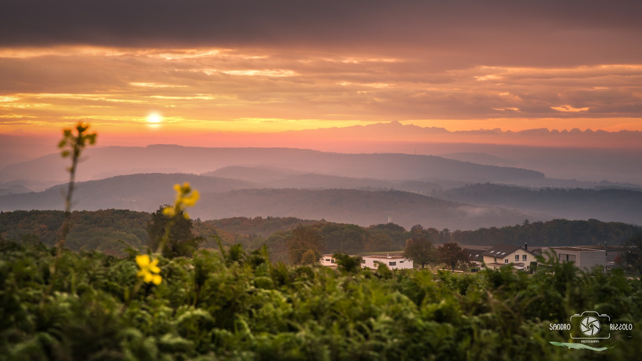 Tamron SP 24-70mm F2.8 Di VC USD sample photo. Good morning homeland... photography