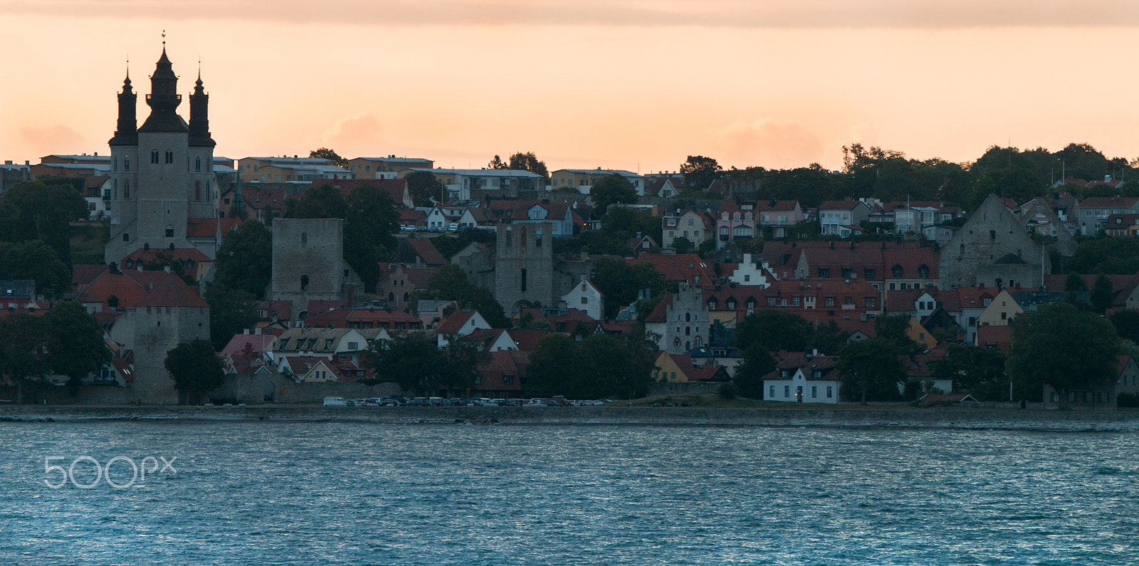 Tamron SP 150-600mm F5-6.3 Di VC USD sample photo. Visby photography