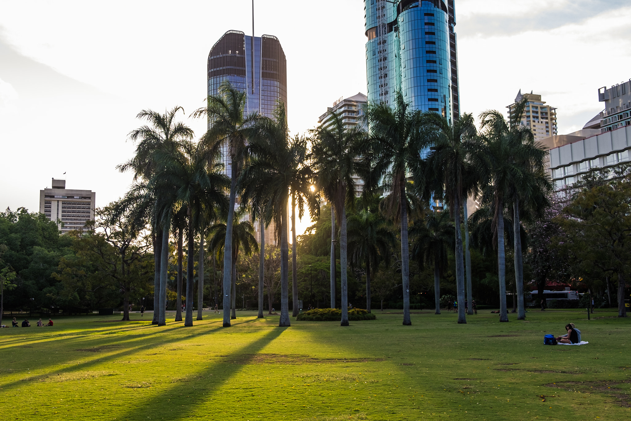 Fujifilm XF 18-55mm F2.8-4 R LM OIS sample photo. Brisbane - city botanic gardens photography