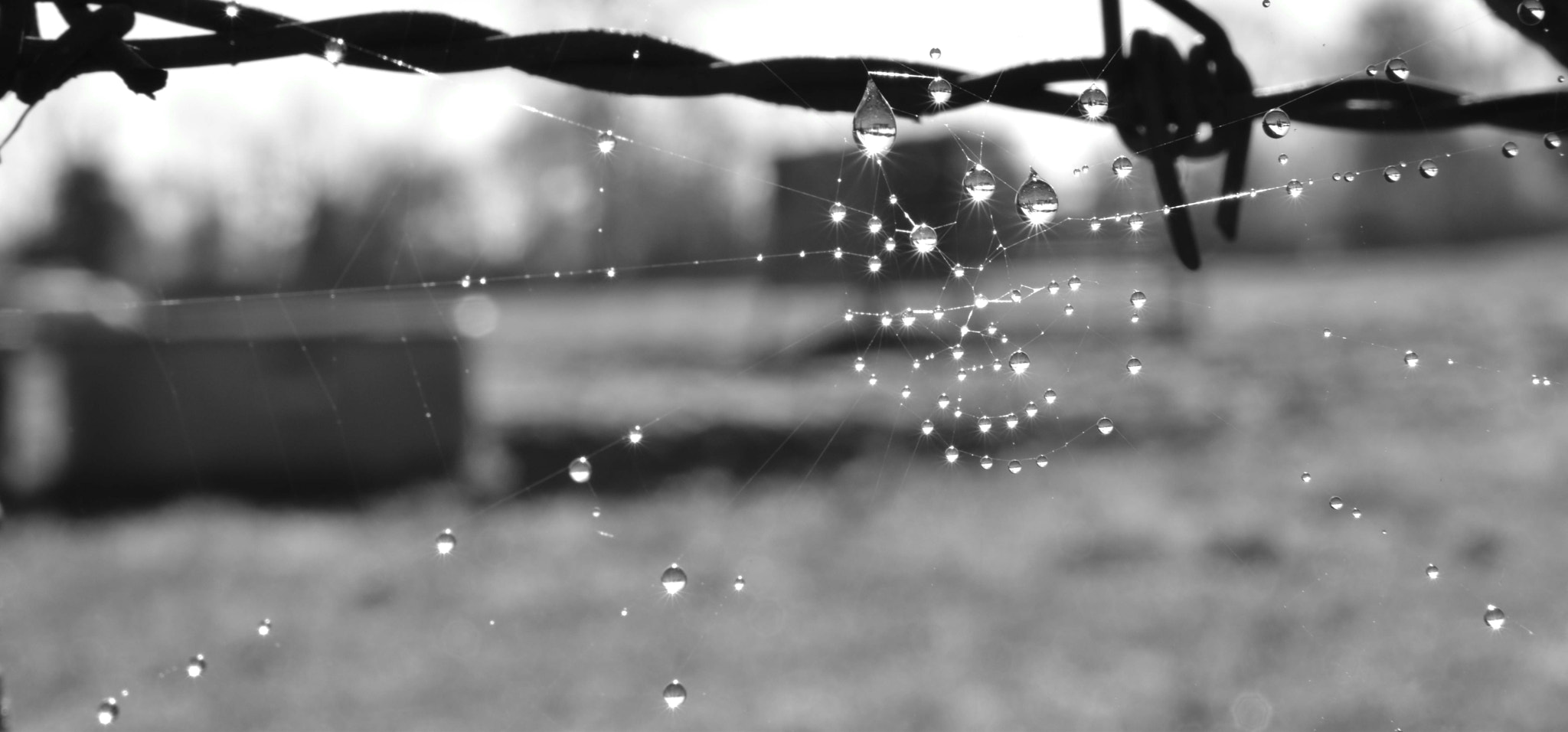 Sigma 17-70mm F2.8-4 DC Macro OS HSM | C sample photo. Christaux netb photography
