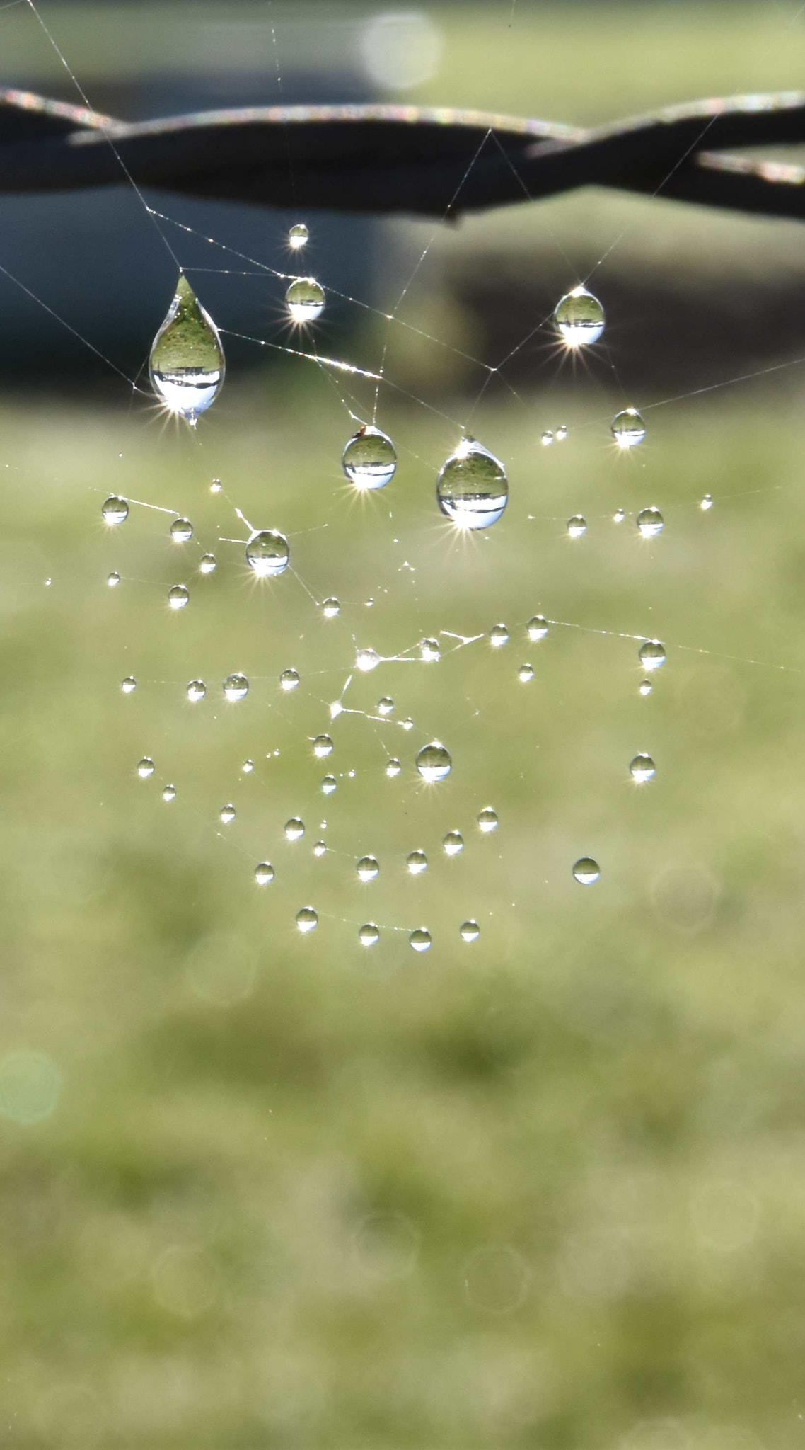 Sigma 17-70mm F2.8-4 DC Macro OS HSM | C sample photo. Christaux photography