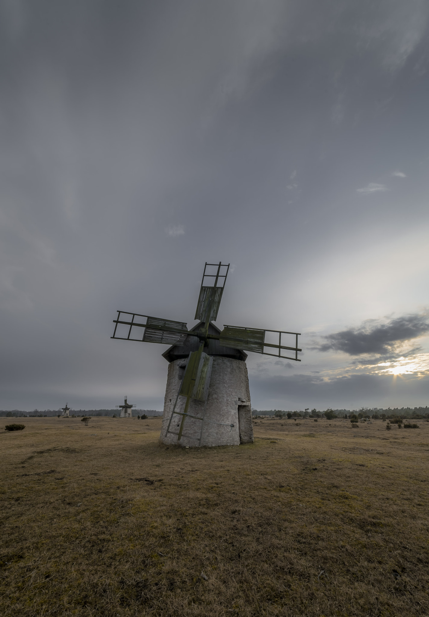 Nikon D610 sample photo. Windmills photography