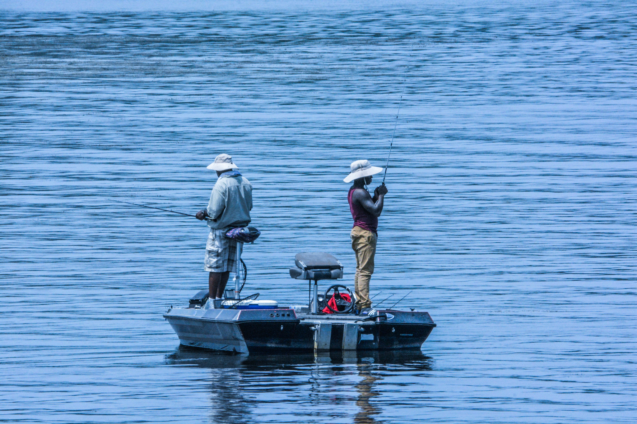 Sigma 150-600mm F5-6.3 DG OS HSM | C sample photo. Waiting for the strike photography
