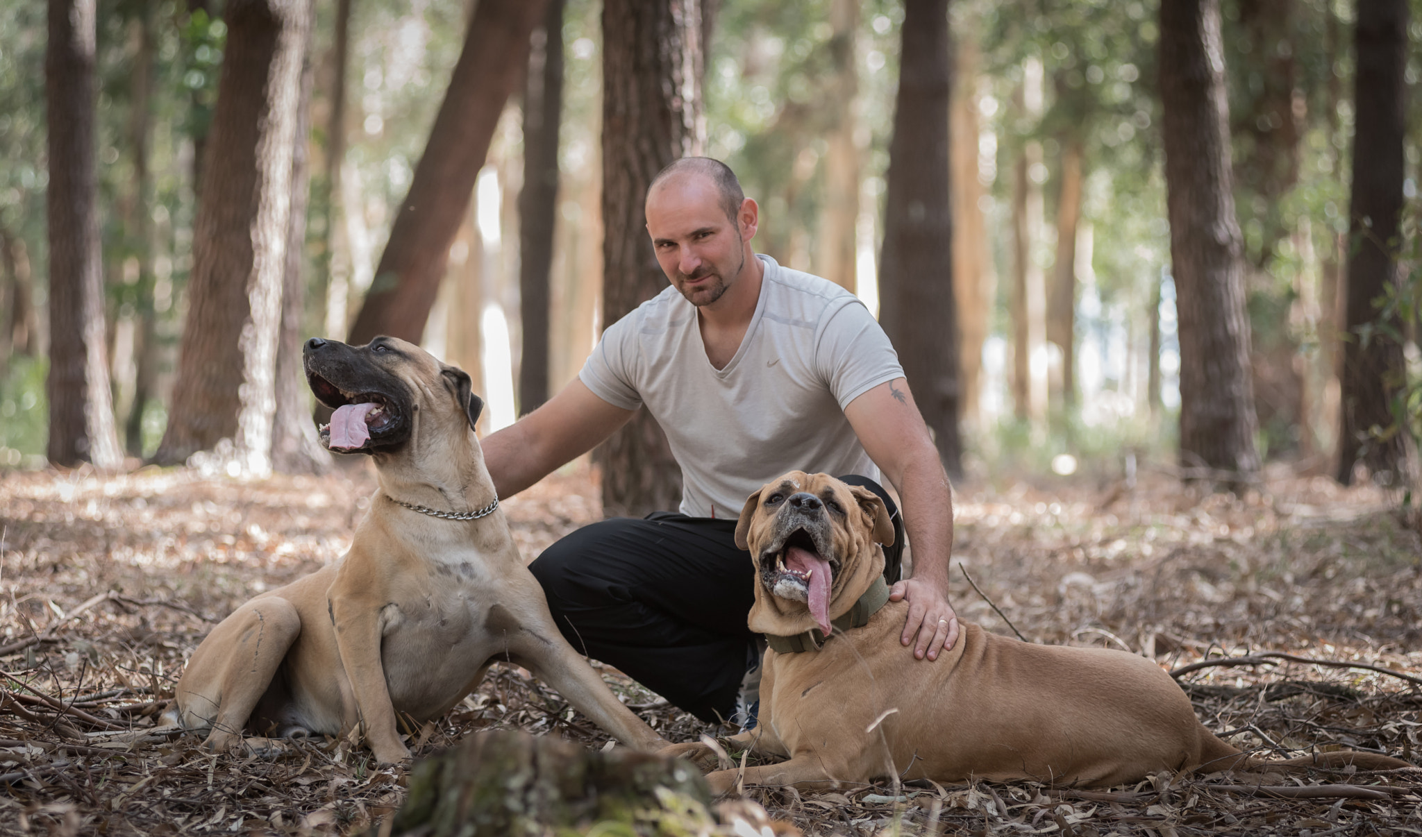 Nikon AF-Nikkor 80-200mm F2.8D ED sample photo. Perro photography