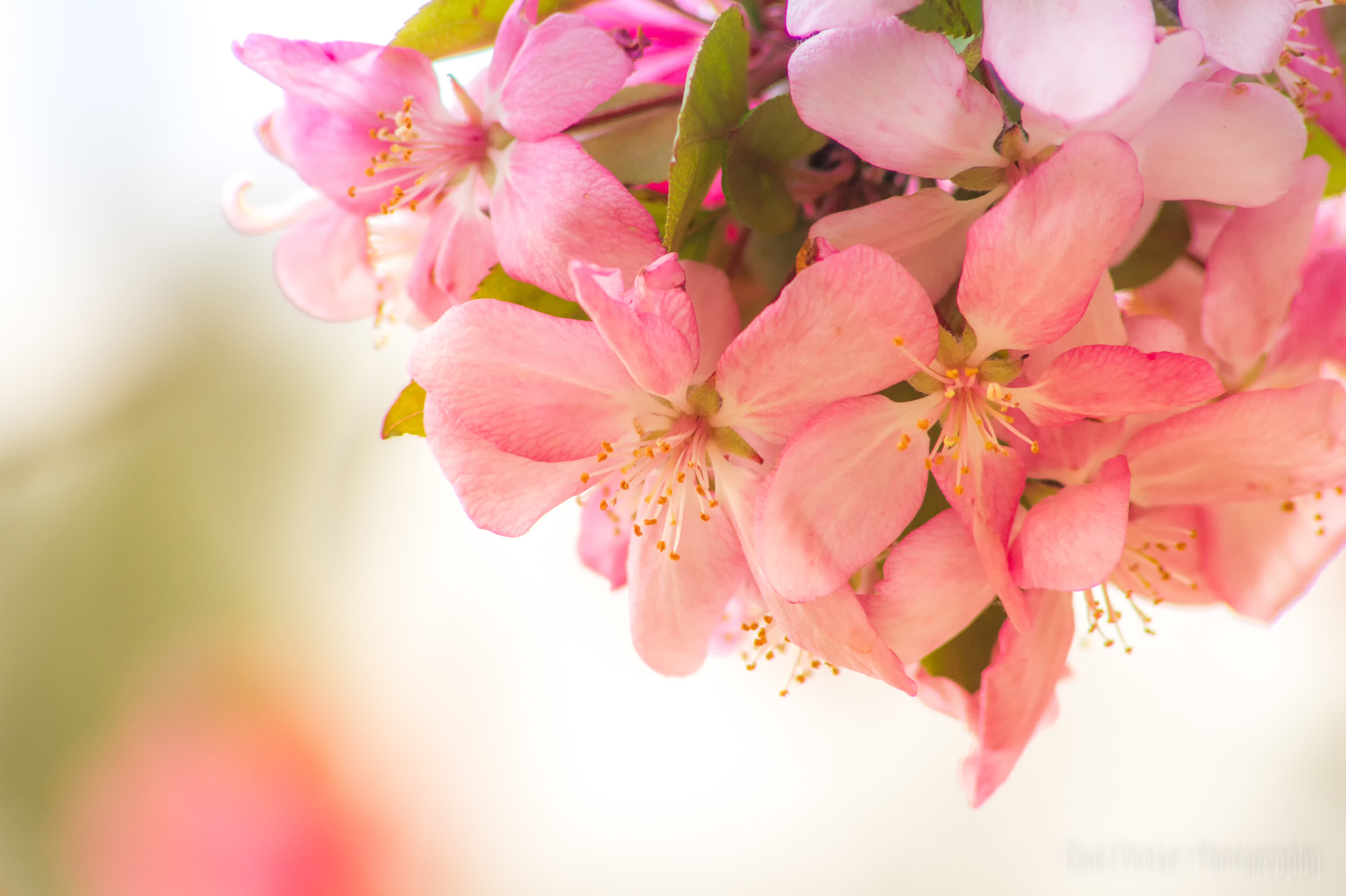 Canon EOS 7D + Canon EF 70-210mm f/4 sample photo. Afternoon sun photography