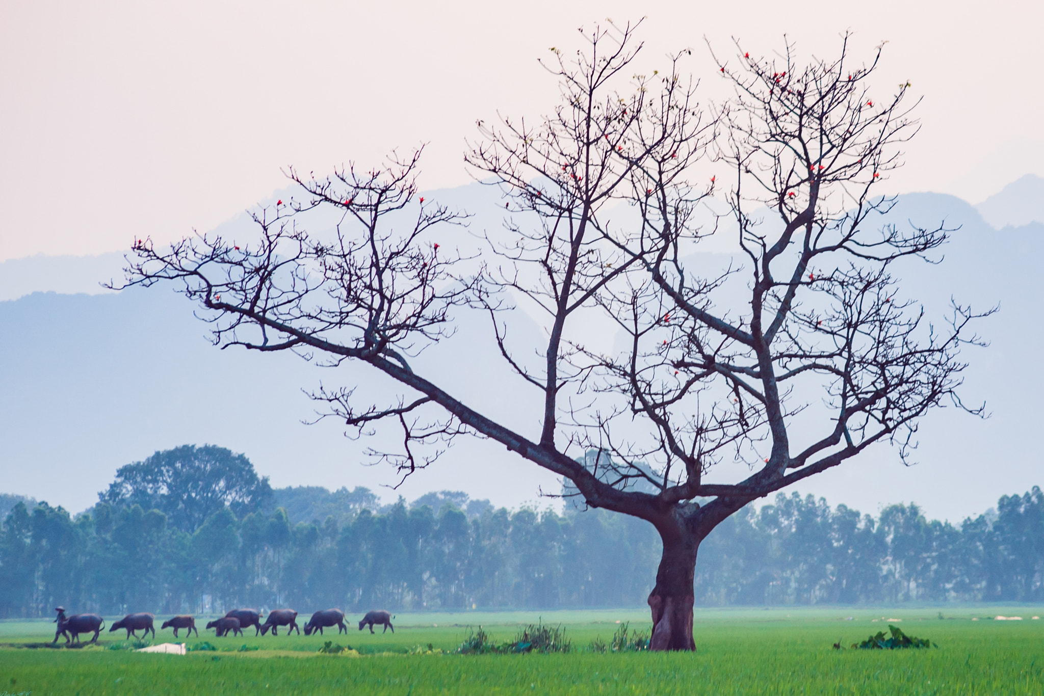 Canon EOS 5D + Canon EF 70-210mm f/4 sample photo. Img photography