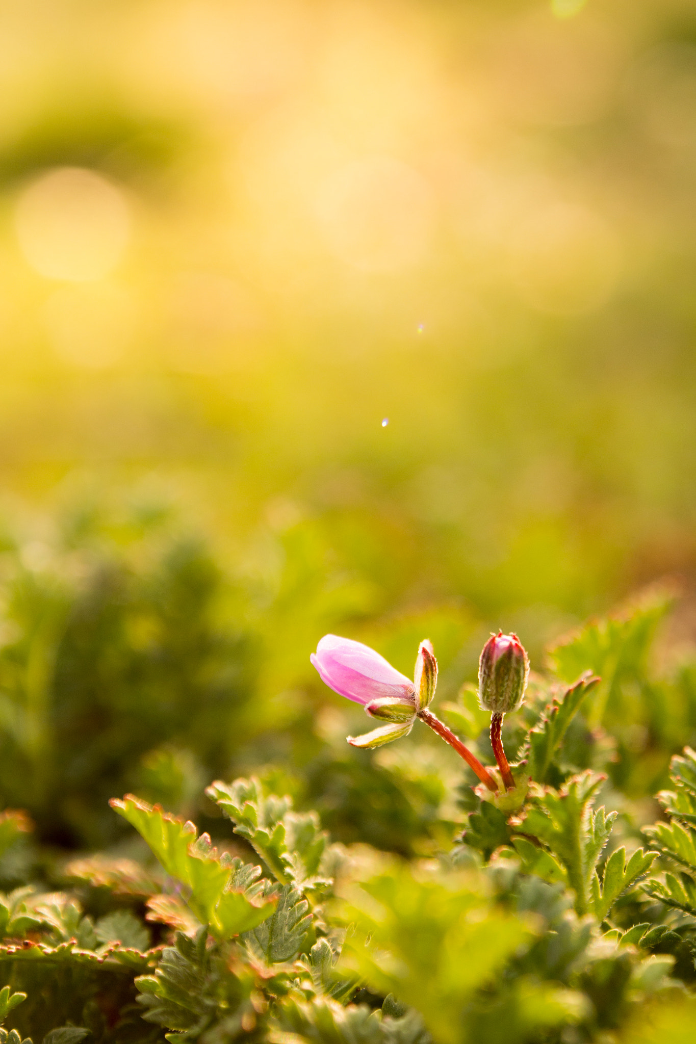 Olympus OM-D E-M5 sample photo. ... photography