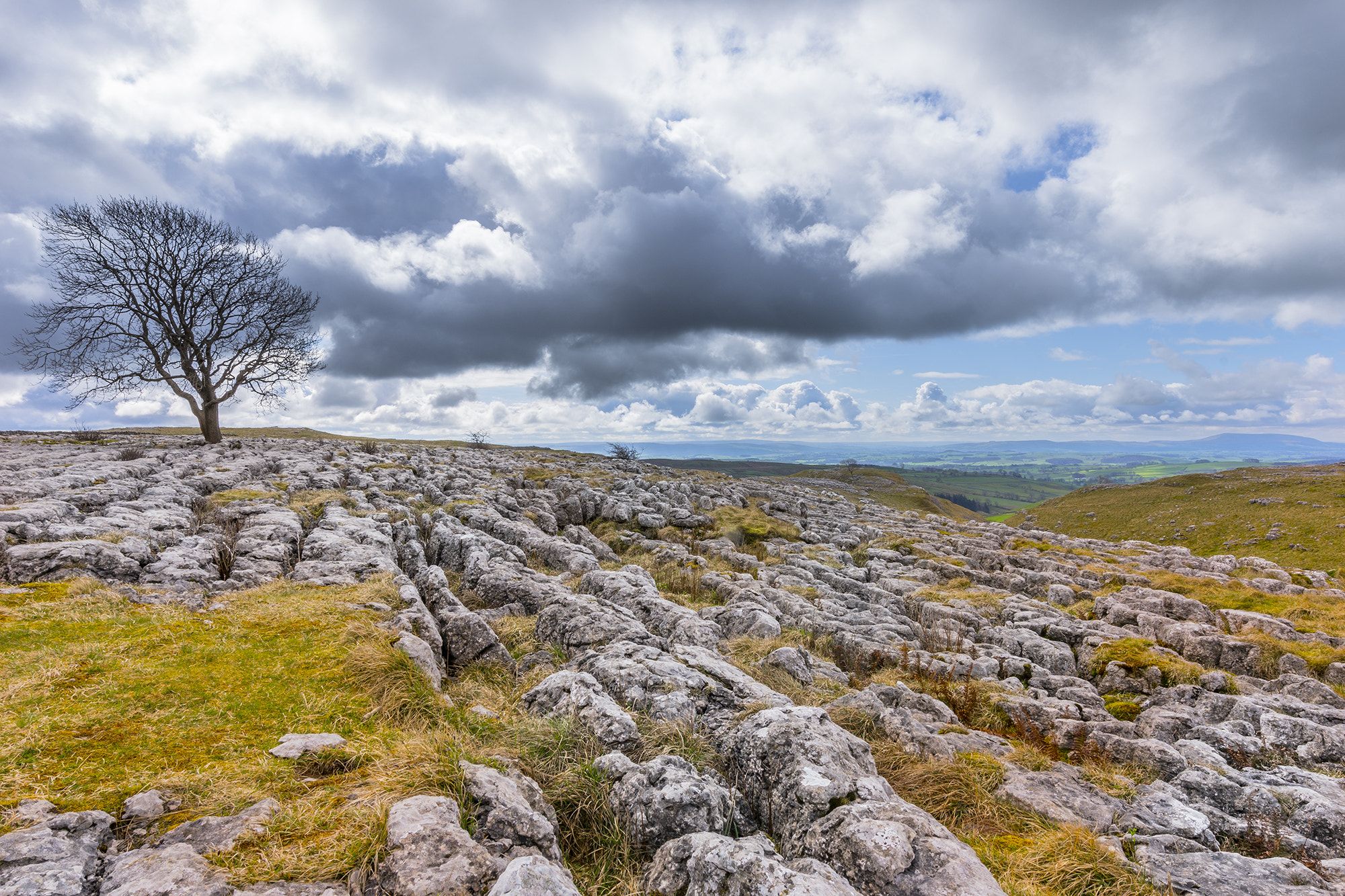 Nikon AF-S Nikkor 14-24mm F2.8G ED sample photo. Yorkshire dales limestone photography
