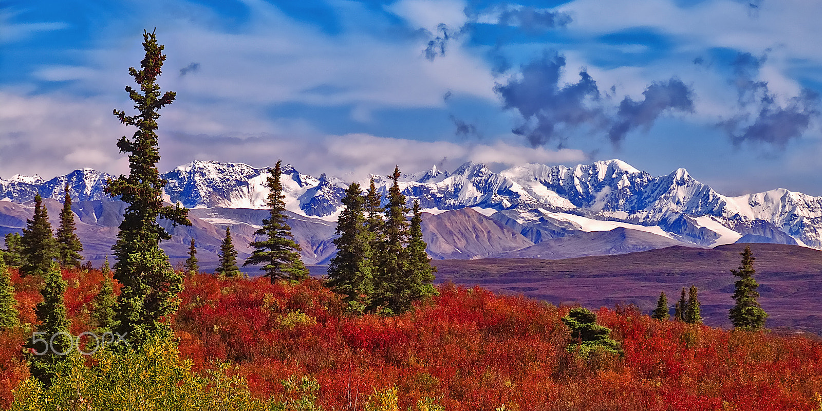 Canon POWERSHOT PRO1 sample photo. Alaska high ridge autumn photography