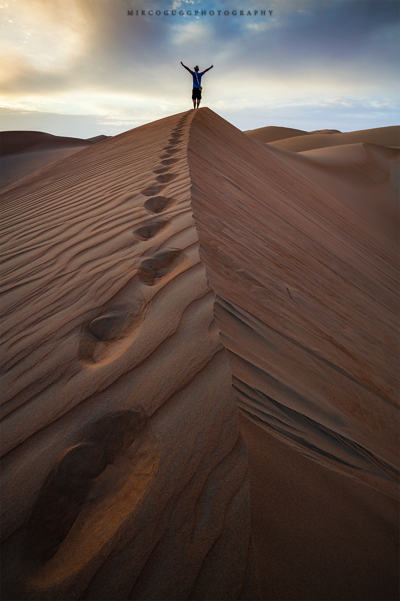 Canon EOS 5D Mark II + Canon EF 16-35mm F4L IS USM sample photo. The king of the desert photography