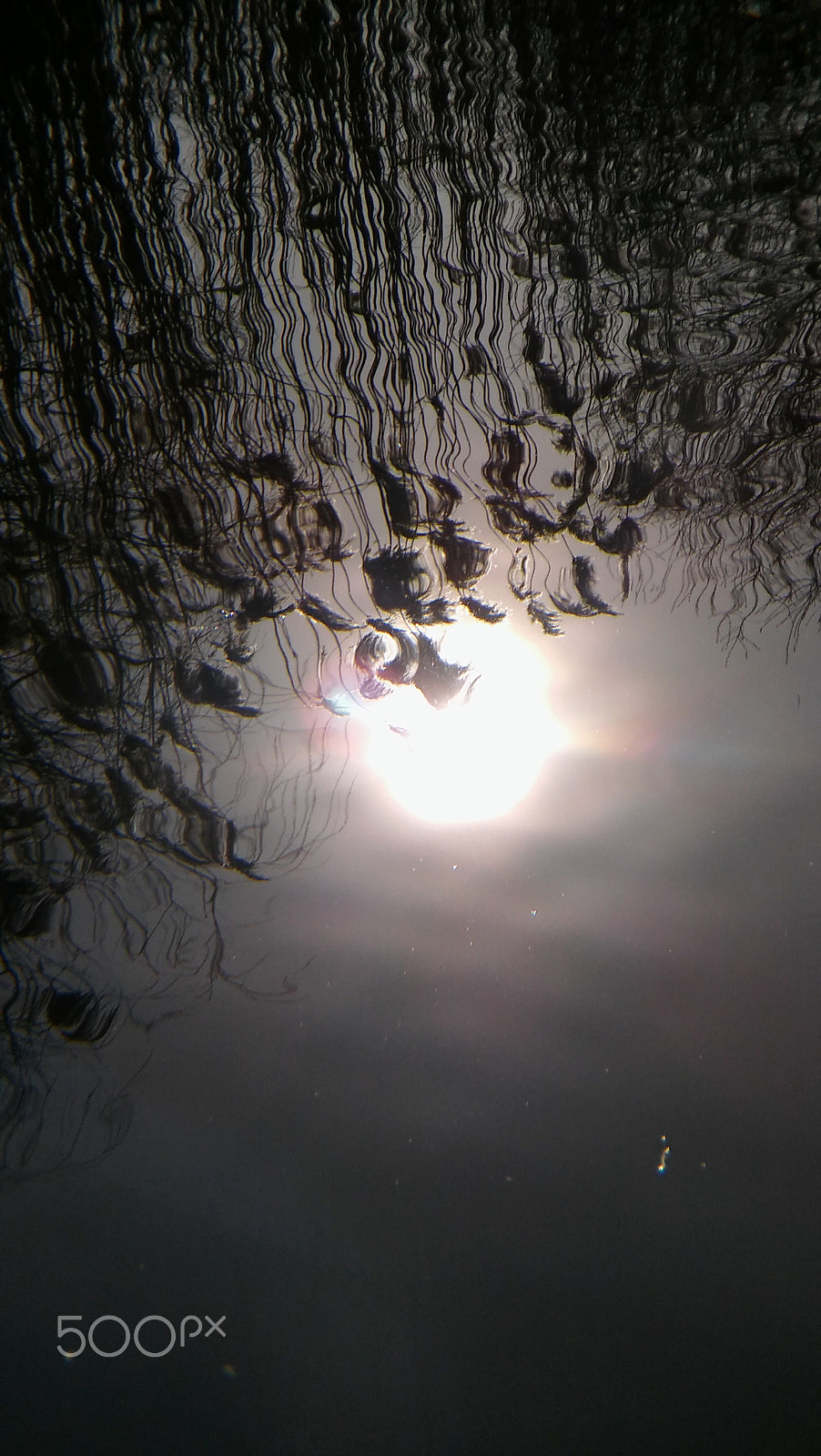 LG SPIRIT 4G LTE sample photo. Reflection photography