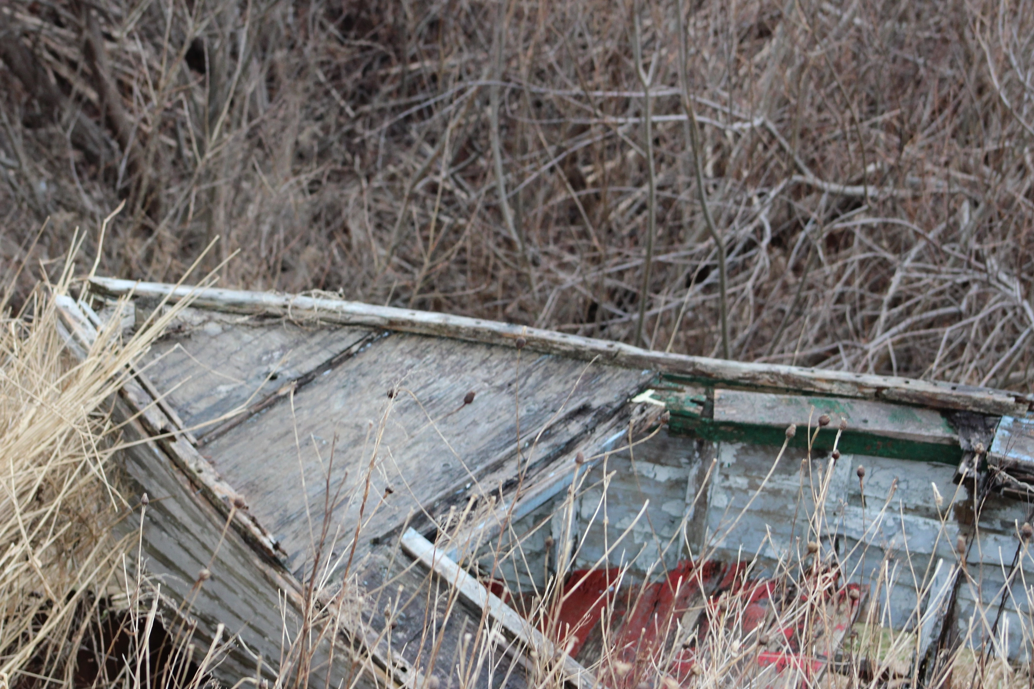 Canon EOS 1200D (EOS Rebel T5 / EOS Kiss X70 / EOS Hi) sample photo. Newfoundland heritage photography