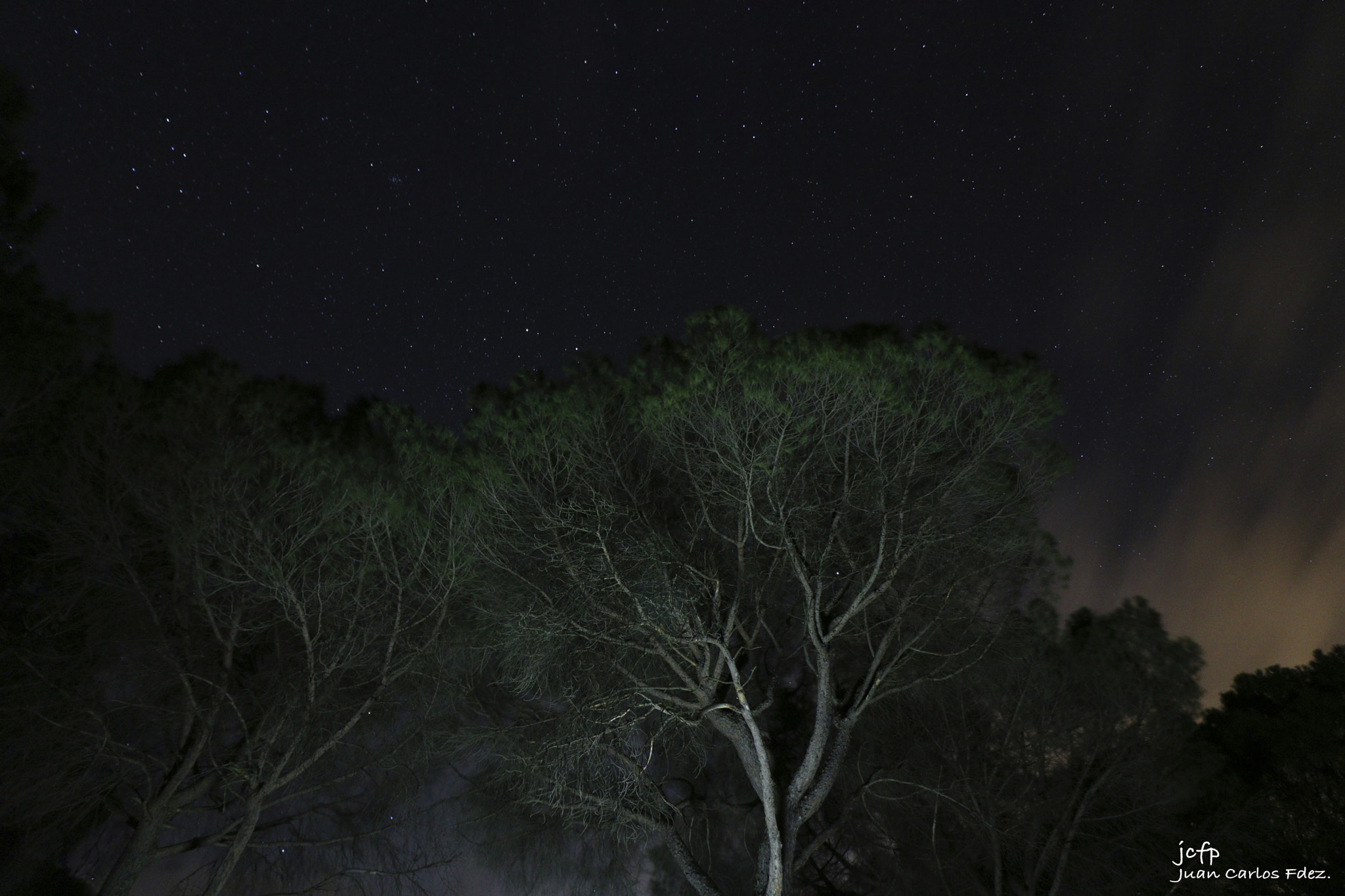 Canon EOS 760D (EOS Rebel T6s / EOS 8000D) sample photo. Copia photography