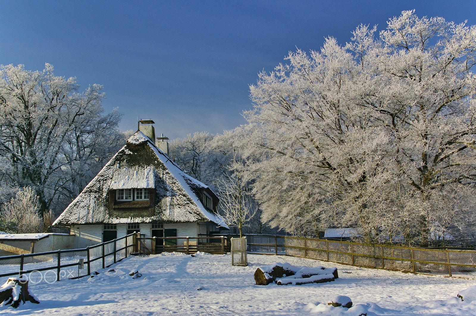 Pentax K100D + Pentax smc DA 18-55mm F3.5-5.6 AL sample photo. Snow-covered farmhouse with trees before a blue sky photography