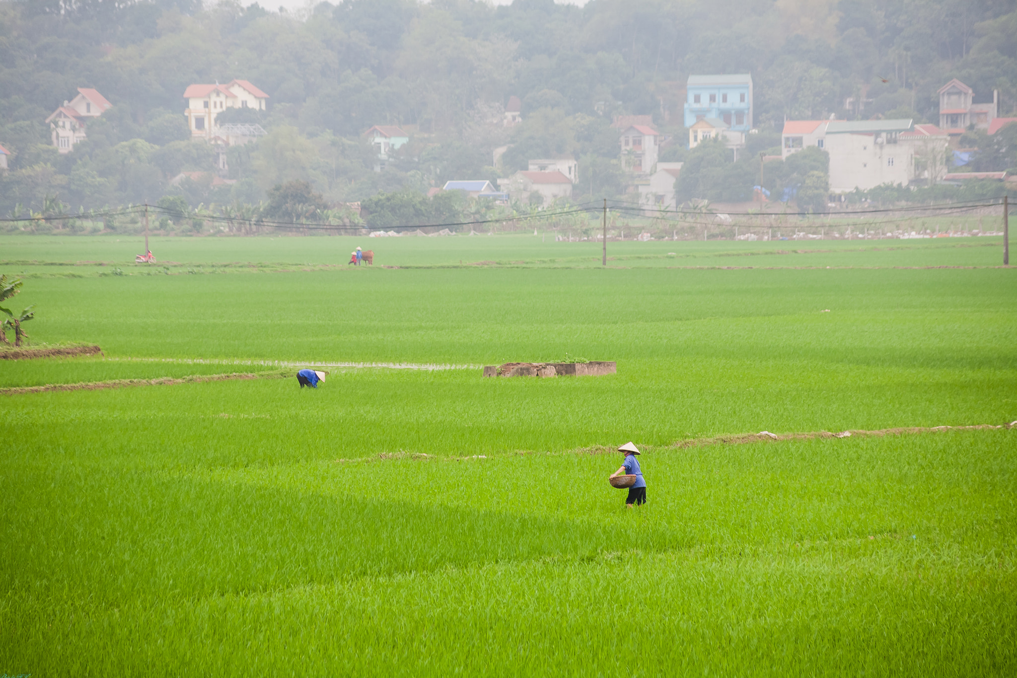 Canon EOS 5D + Canon EF 70-210mm f/4 sample photo. Img photography