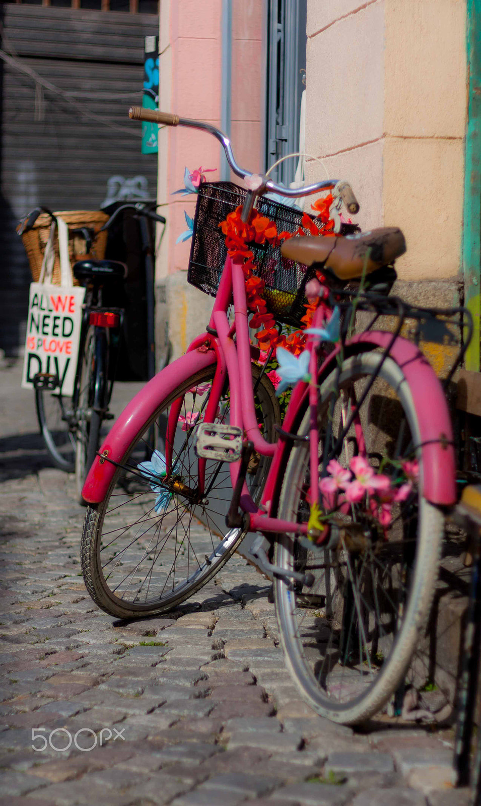 Canon EOS 450D (EOS Rebel XSi / EOS Kiss X2) + Canon EF 50mm F1.8 II sample photo. Pink bicycle photography