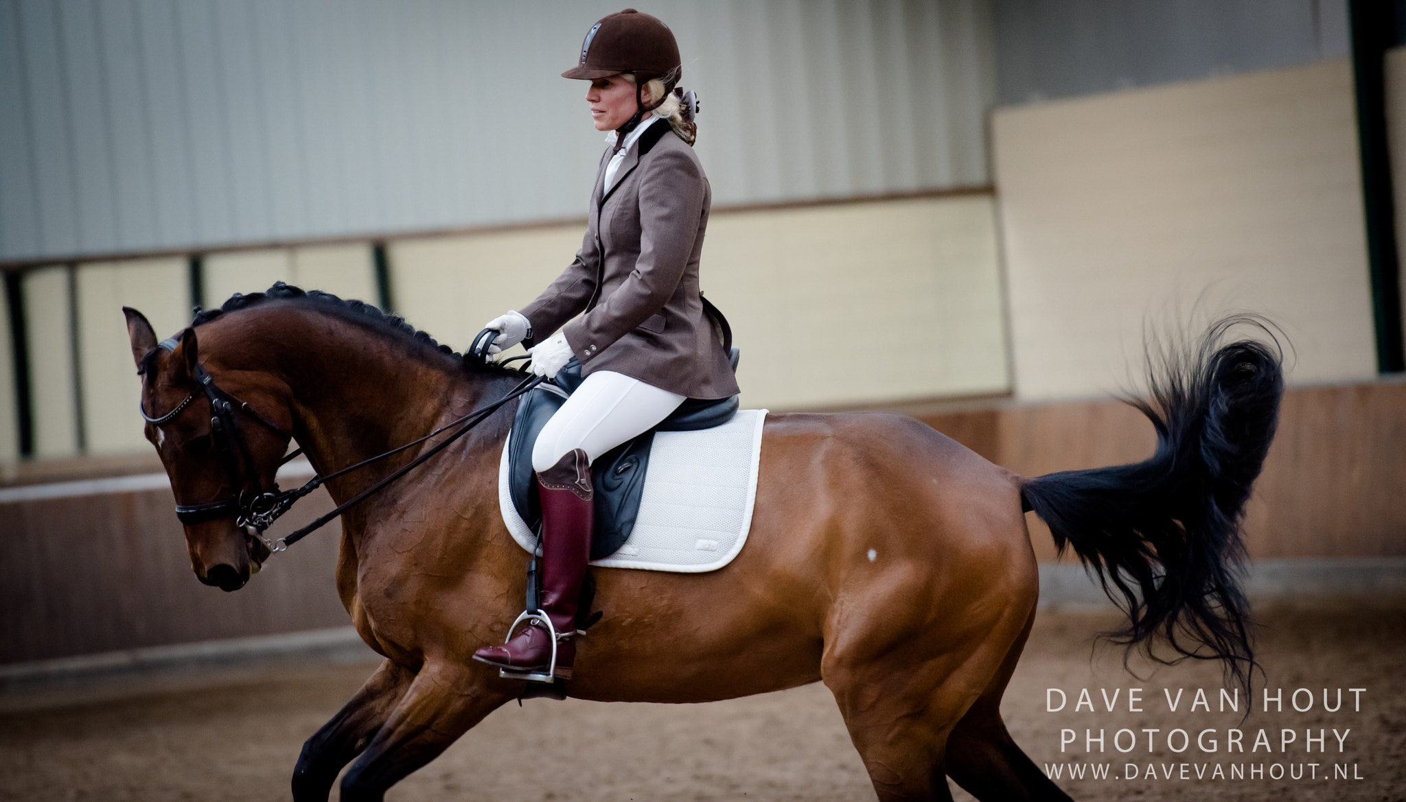 Nikon AF-S Nikkor 70-200mm F2.8G ED VR II sample photo. Volwassene masja habraken king stables photography
