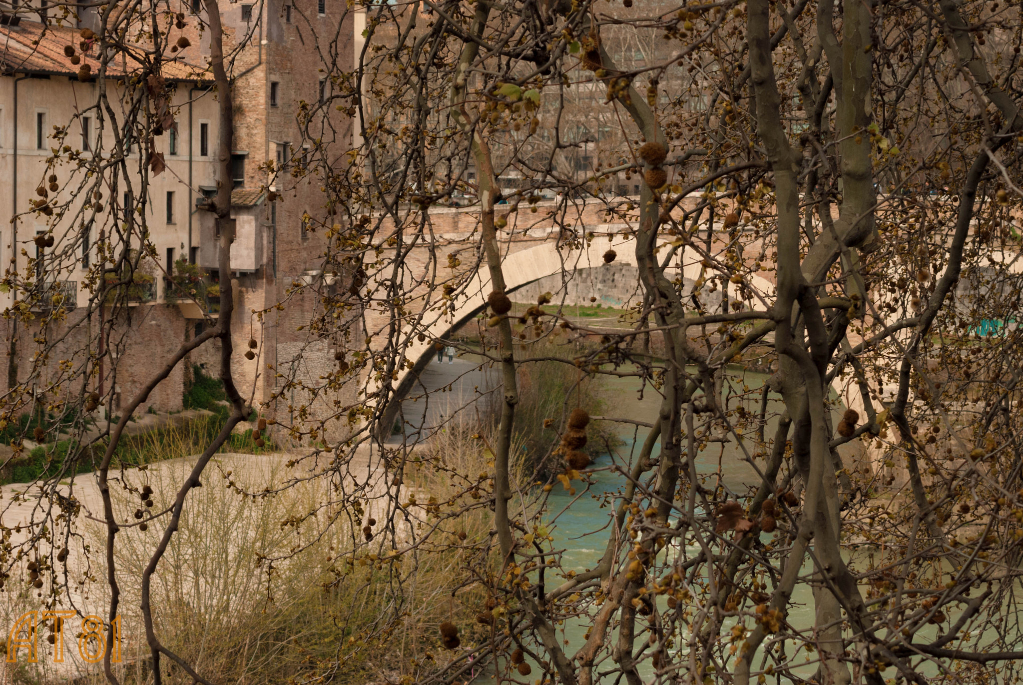 Nikon D80 sample photo. Dettaglio isola tiberina photography