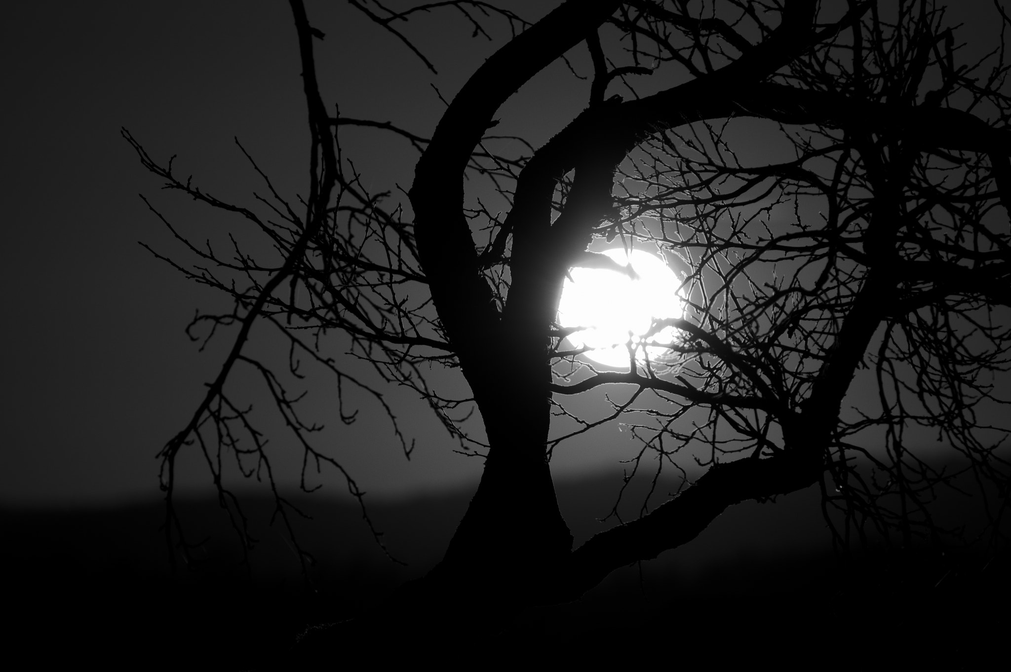 Nikon D3200 sample photo. The sun goes down... in black and white photography