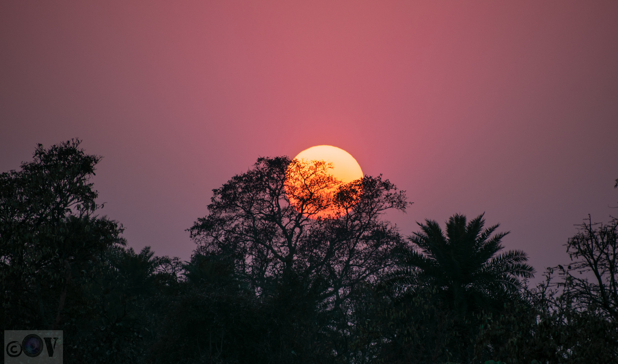 Sigma 70-300mm F4-5.6 DG OS sample photo. Setting sun photography