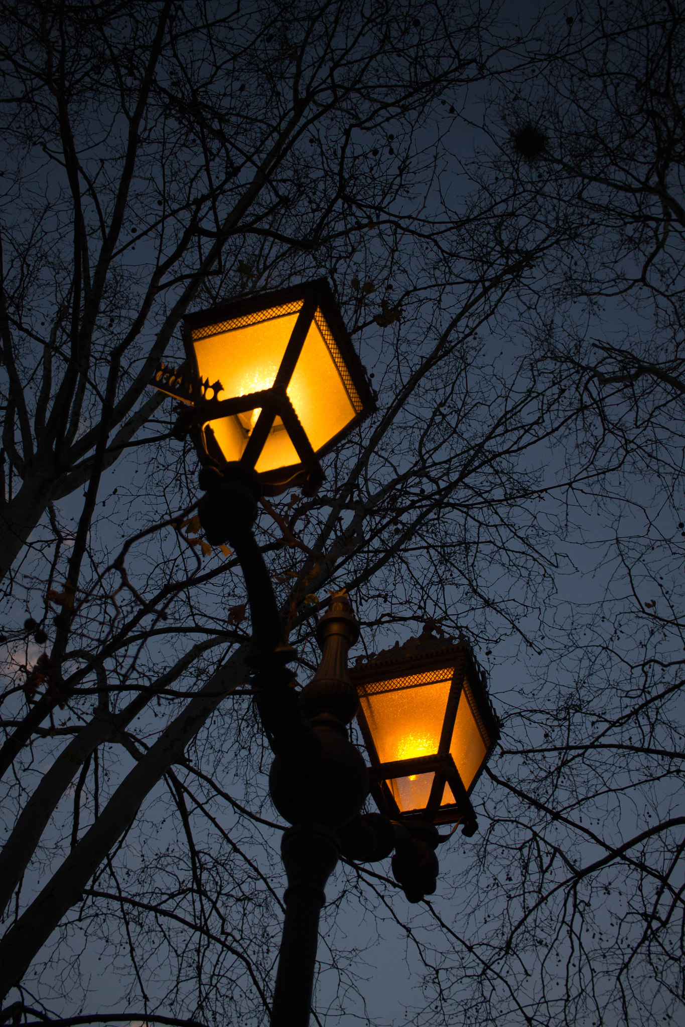 Canon EF-S 24mm F2.8 STM sample photo