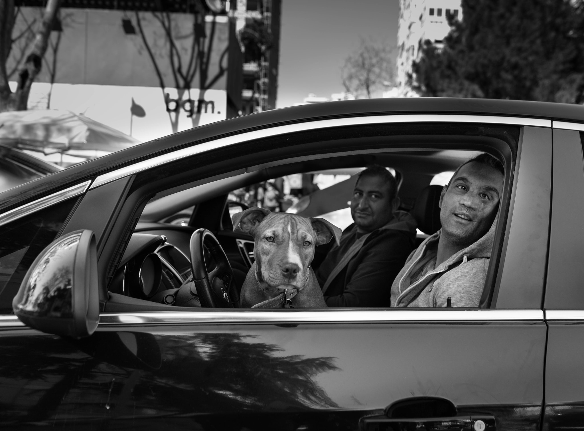 Sony FE 28mm F2 sample photo. Amores perros photography