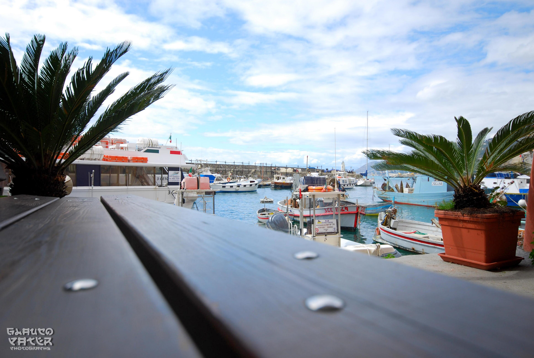 Nikon D60 sample photo. Camogli after the storm, from the bench photography