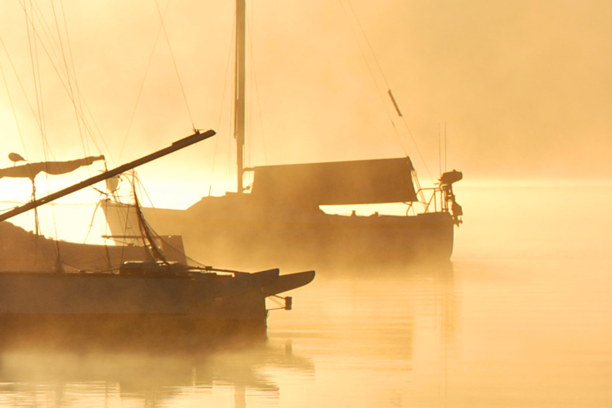 Nikon D80 sample photo. Into the mist photography