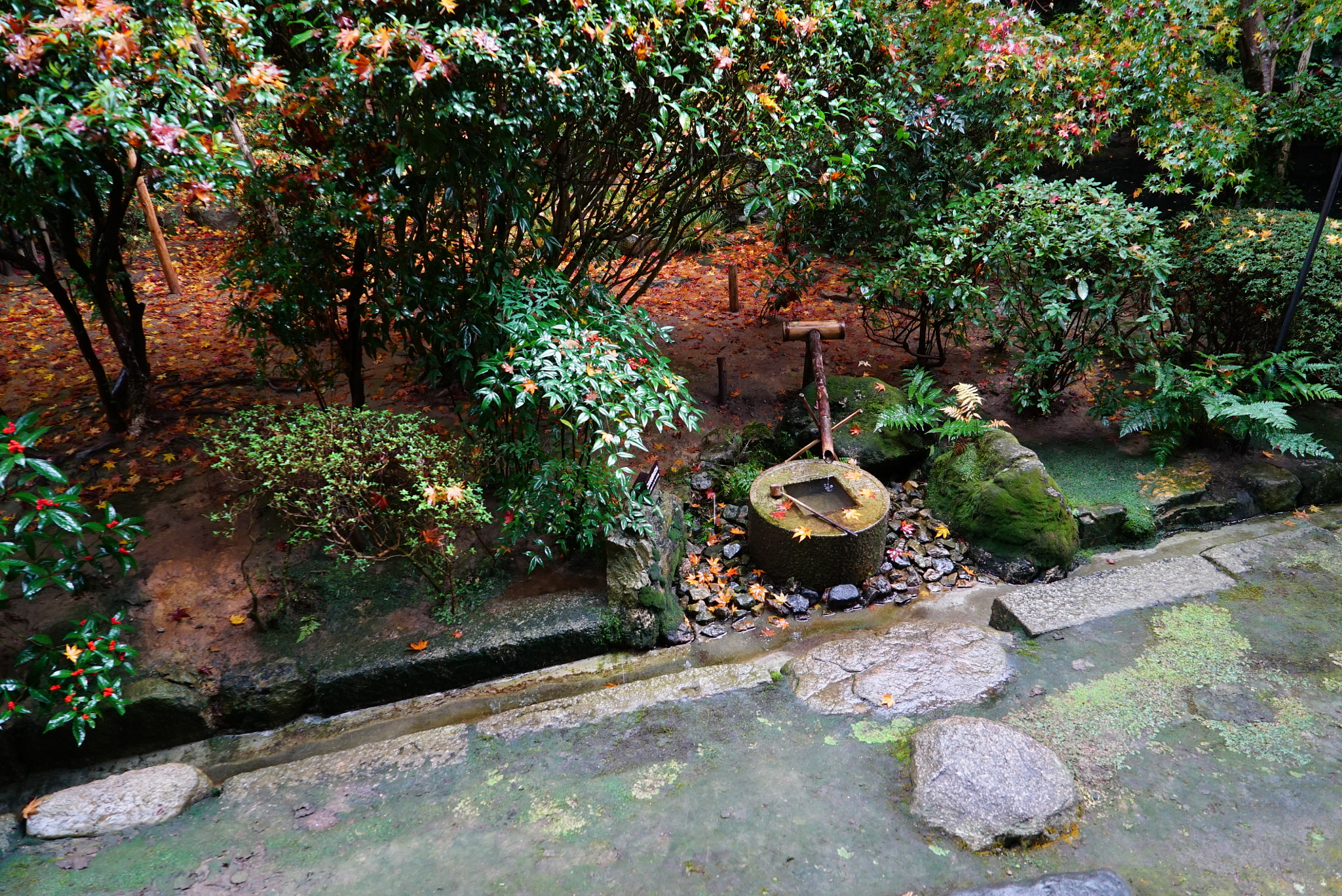 Sony a7S + Sony Vario Tessar T* FE 24-70mm F4 ZA OSS sample photo. Ryoan-ji fountain photography