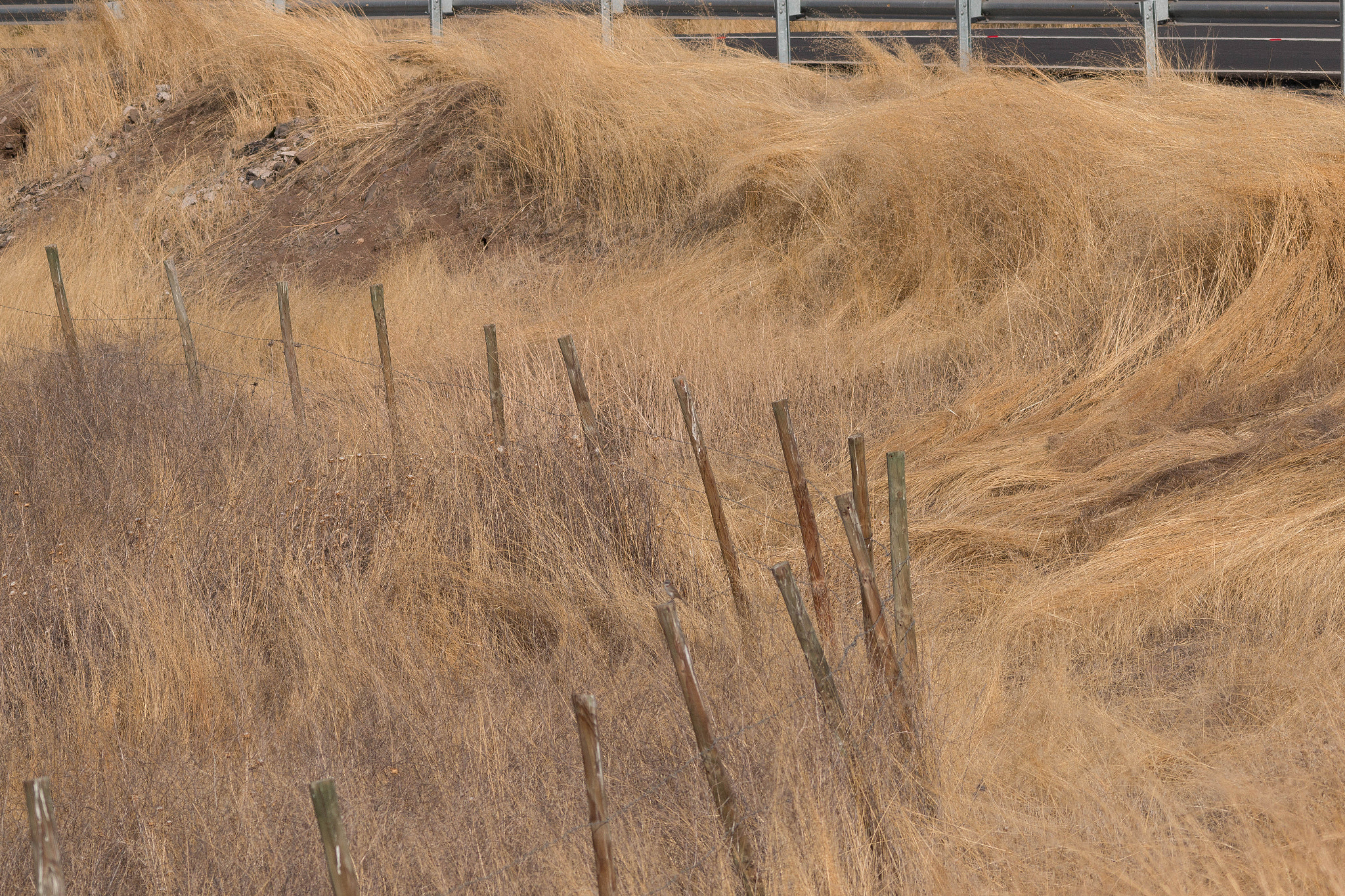 Sigma 150-500mm F5-6.3 DG OS HSM sample photo
