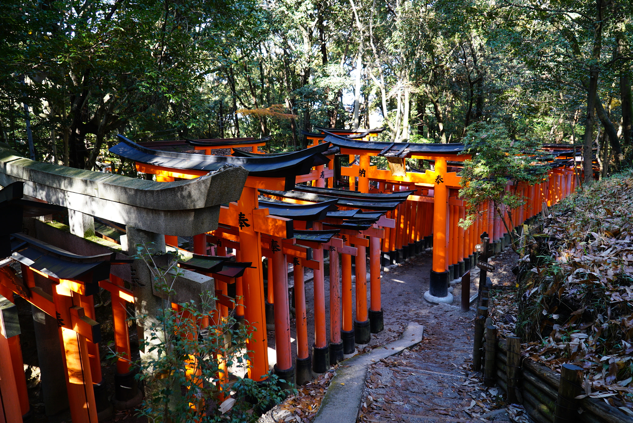 Sony a7S + Sony Vario Tessar T* FE 24-70mm F4 ZA OSS sample photo. Fushimi inari taisha photography